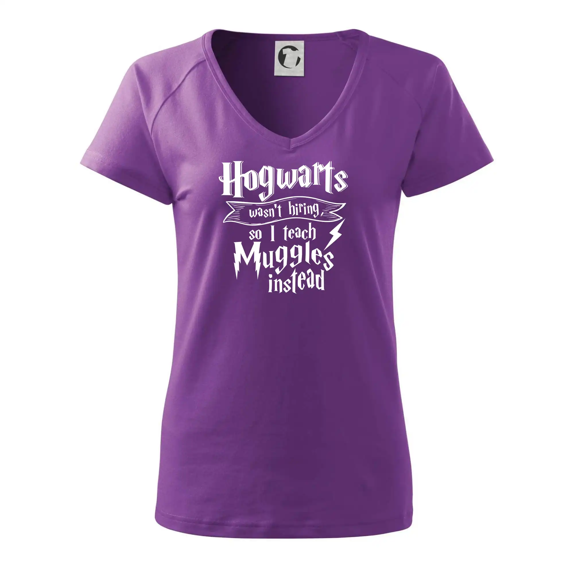 Harry - Hogwarts wasn’t hiring, so I teach Muggles instead
