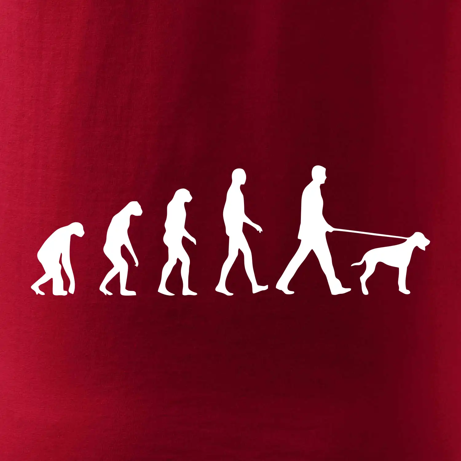 Evoluce pes ohař