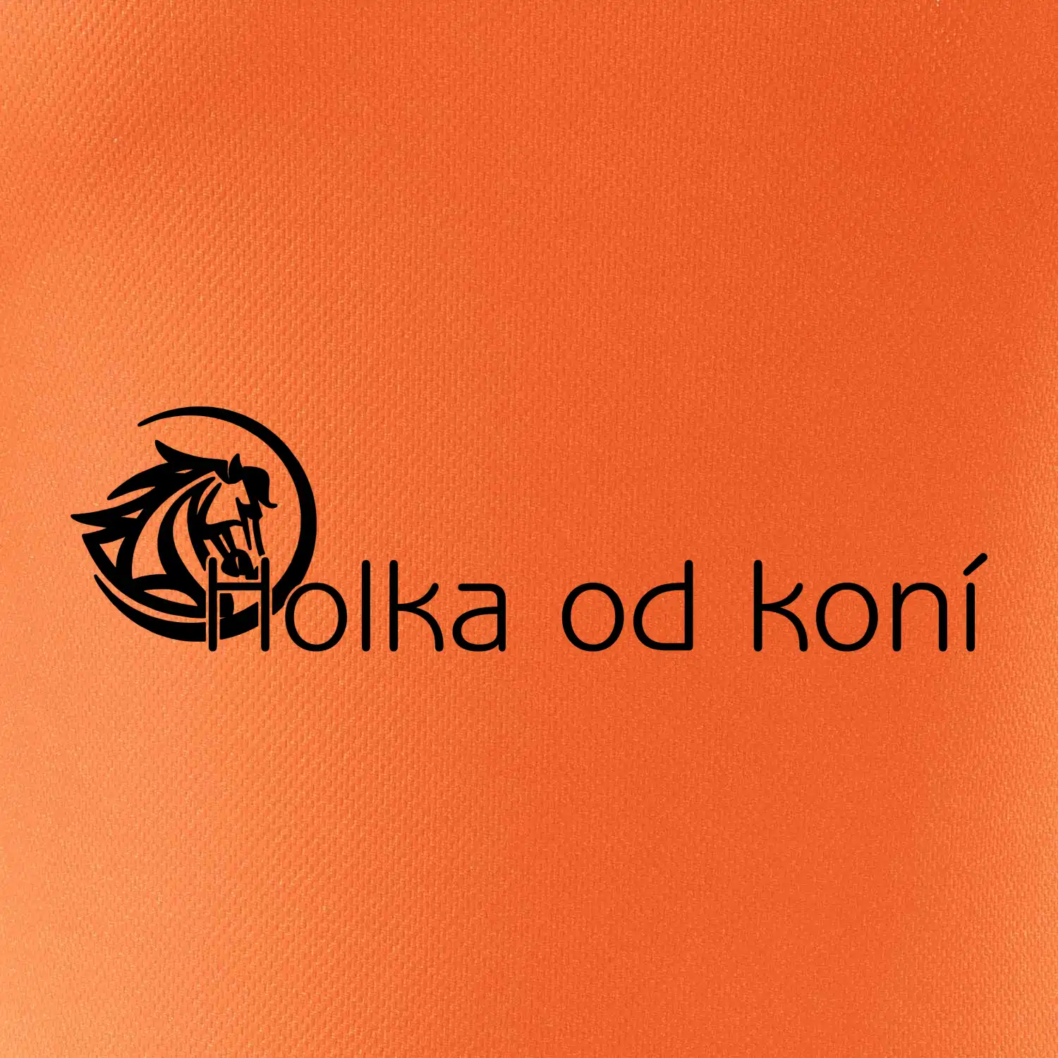 Holka od koní