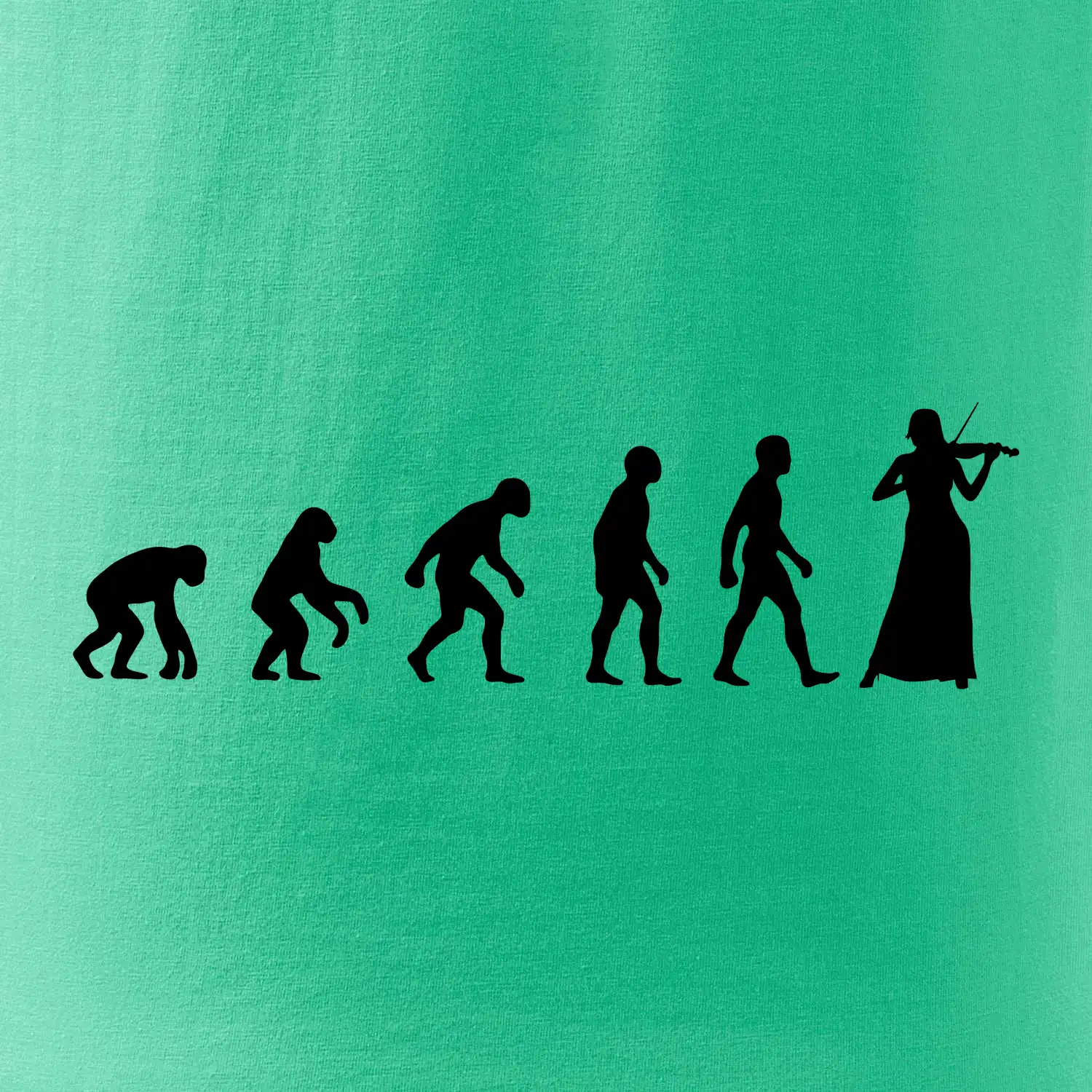 Evoluce houslistka