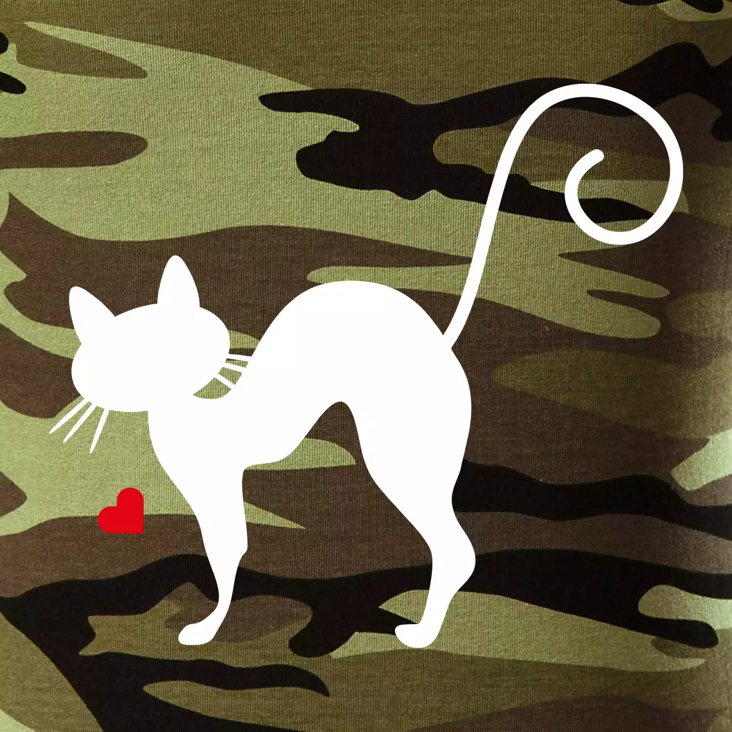 Zamilovaná kočka prohnutá