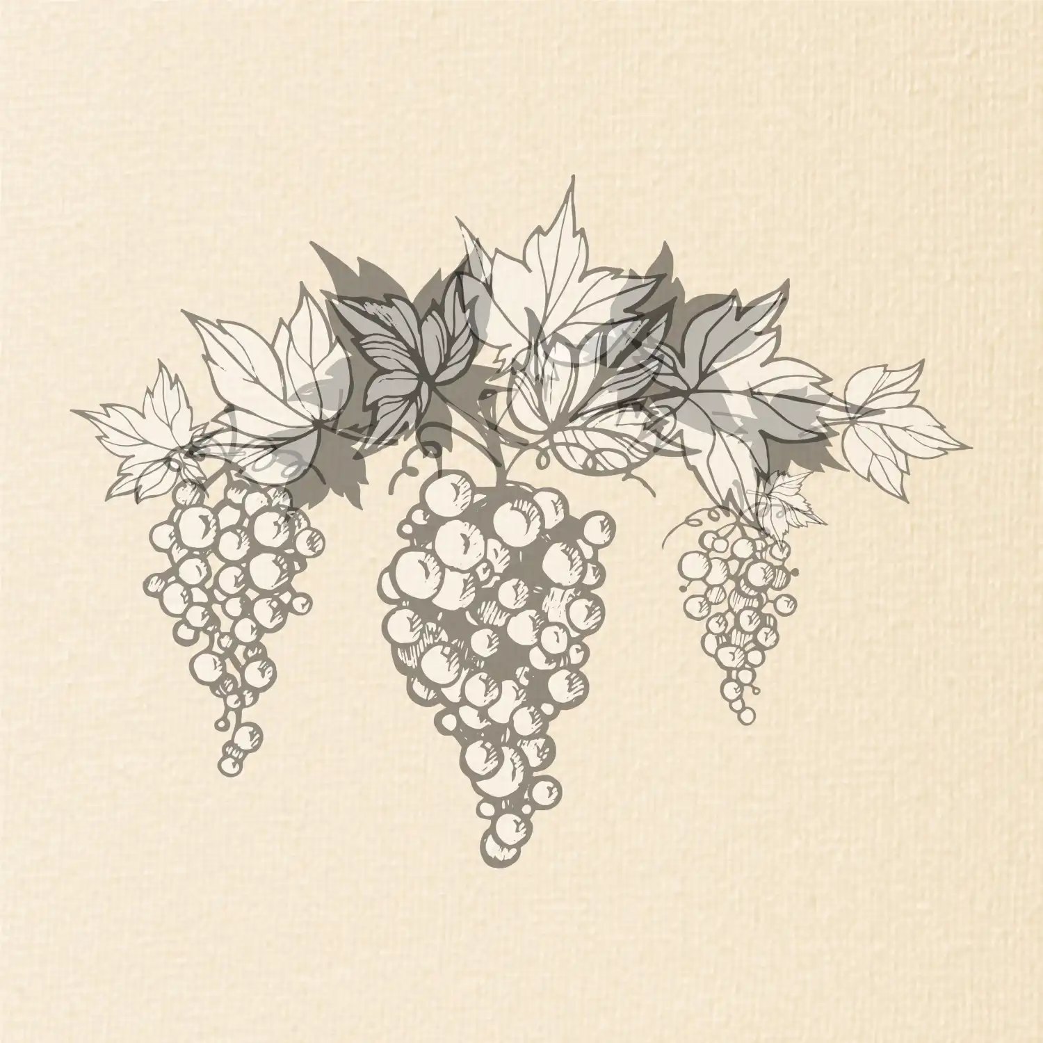 Vinné hrozny šedé
