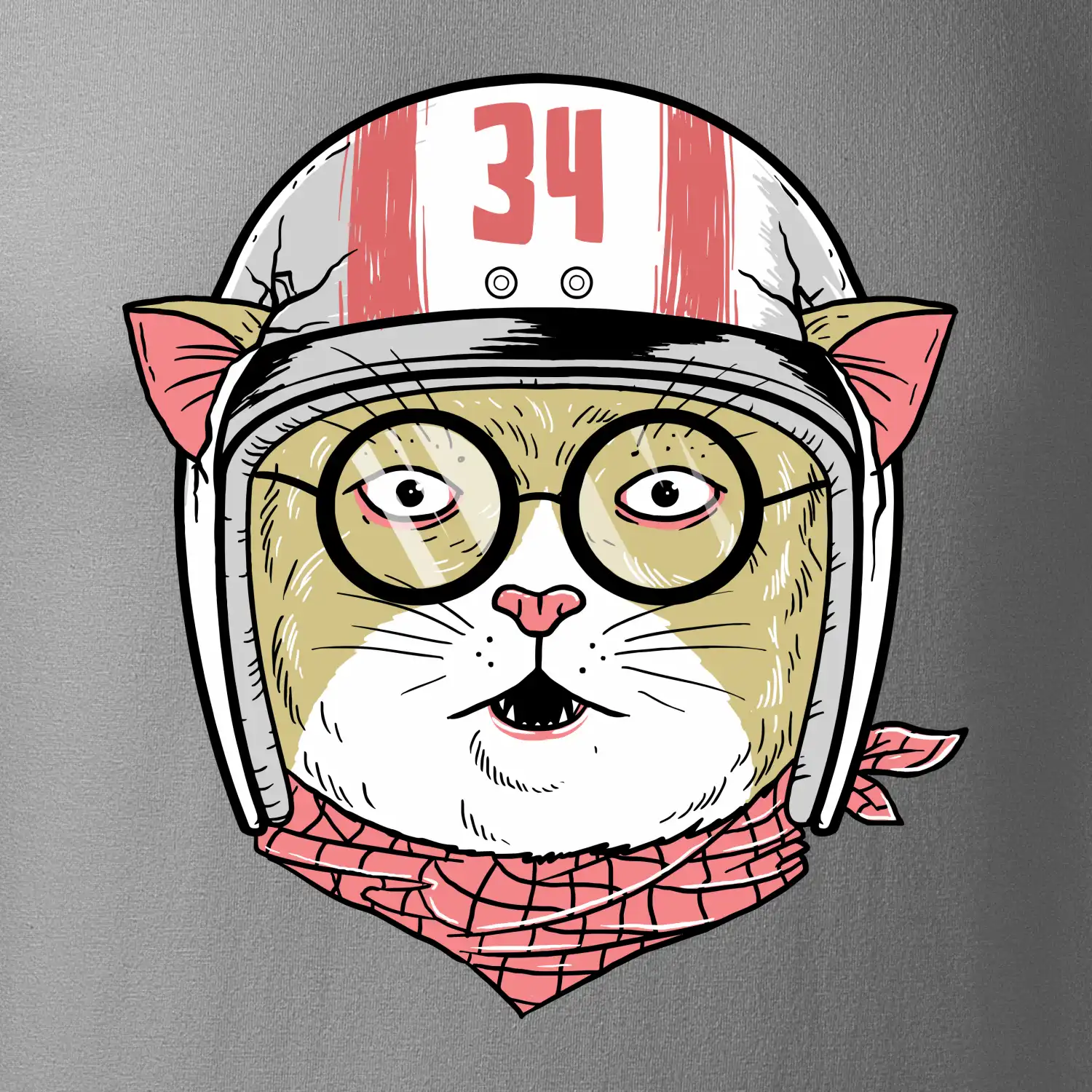 Moto kočka