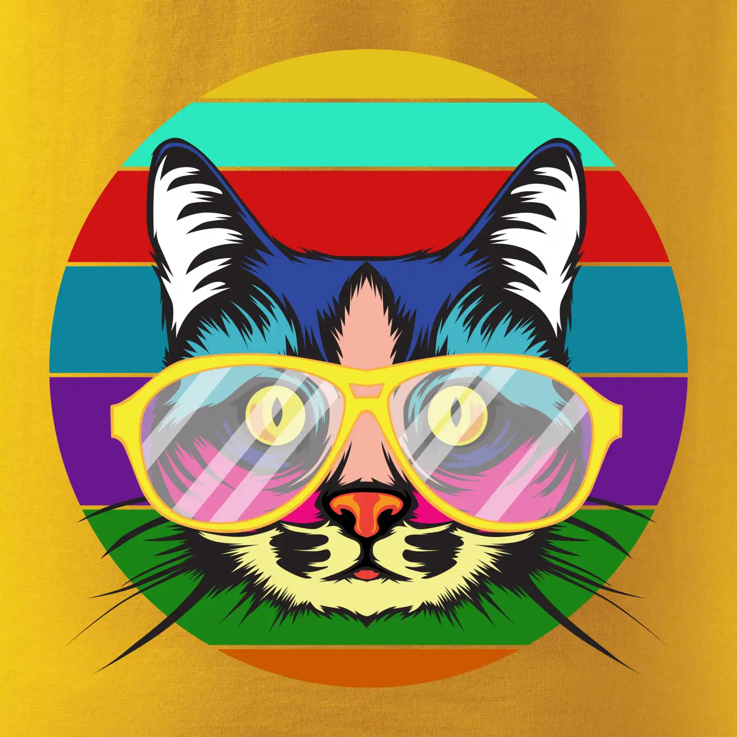 Kočka při barevném západu