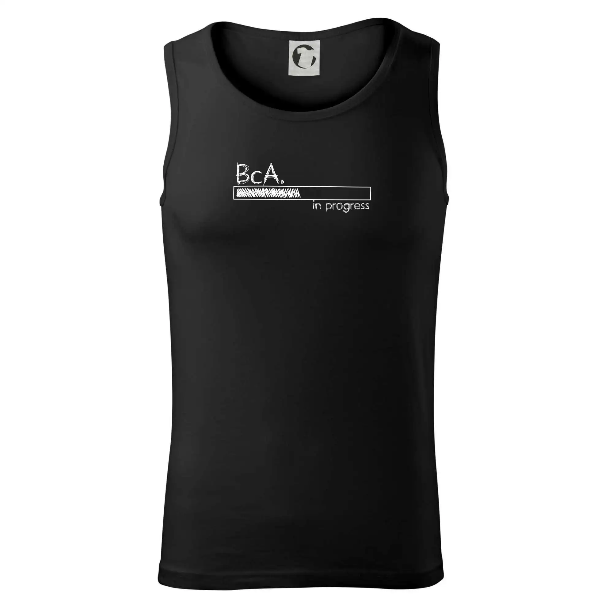 In progress  titul BcA. bakalář / bakalářka umění