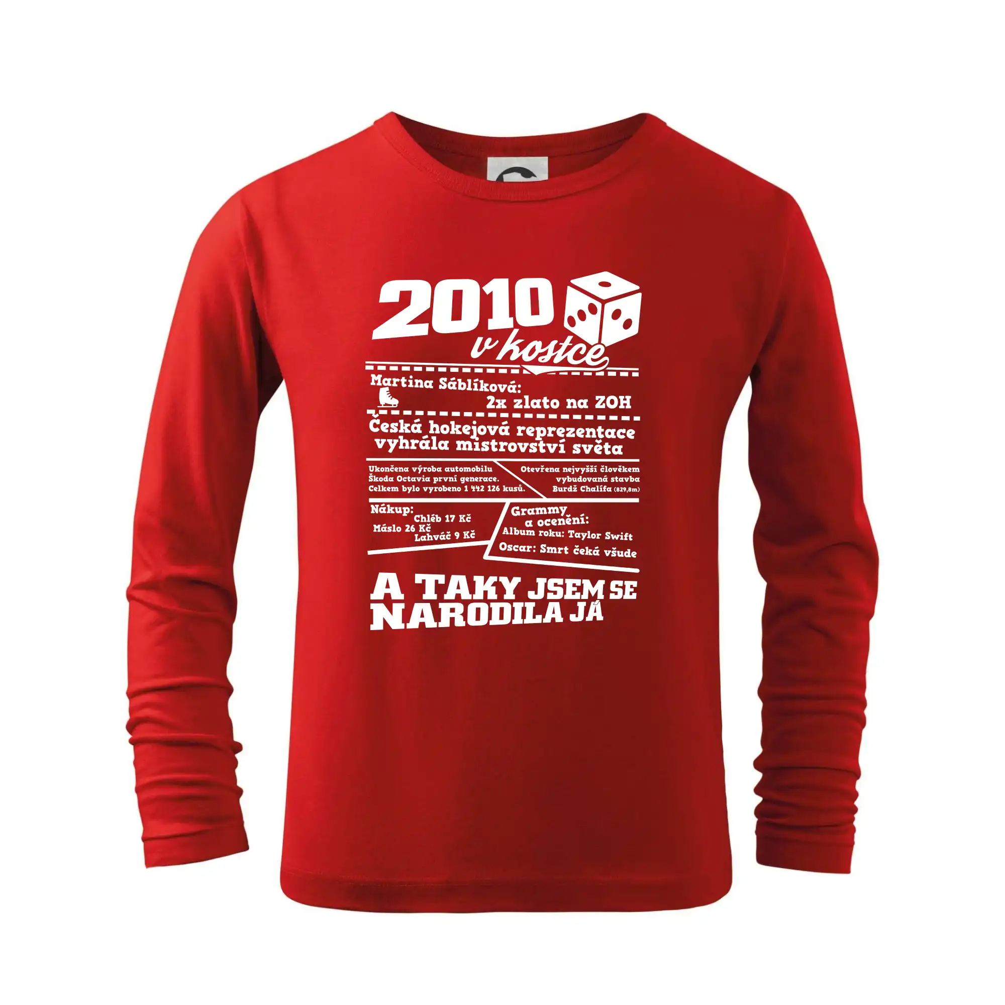 2010 v kostce