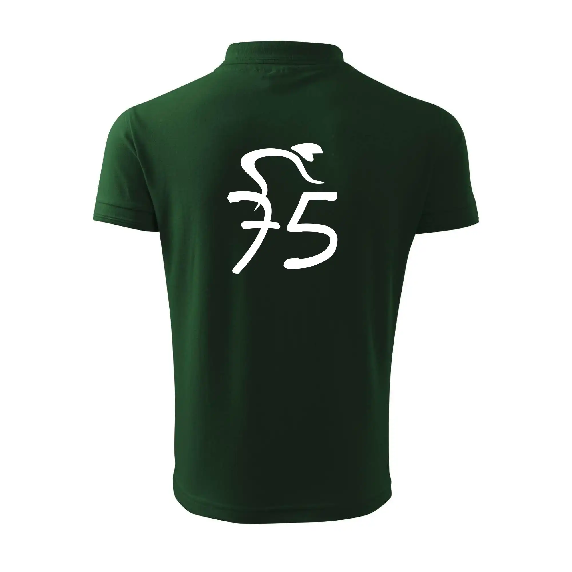 Cyklista slaví pětasedmdesátku (75)