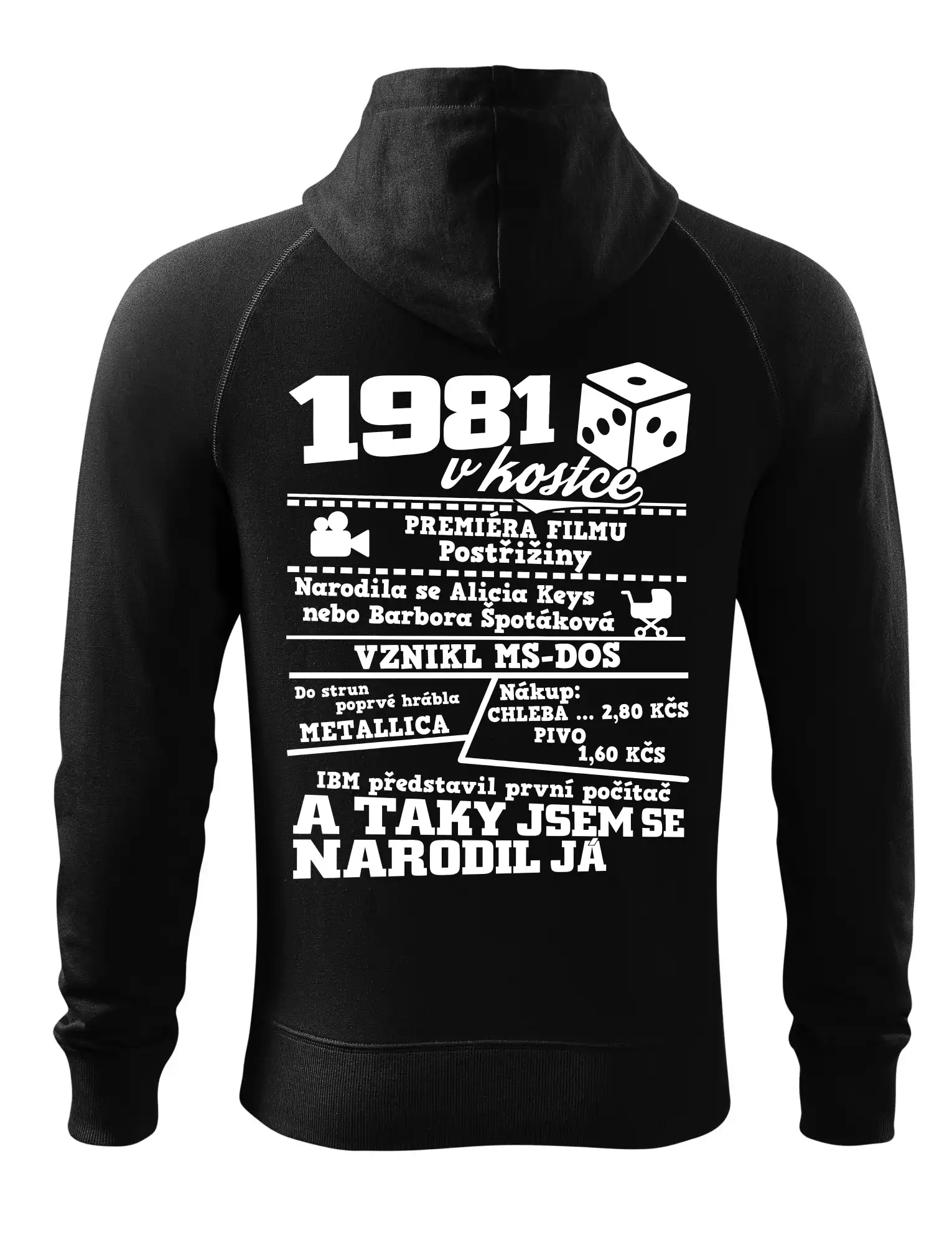 1981 v kostce
