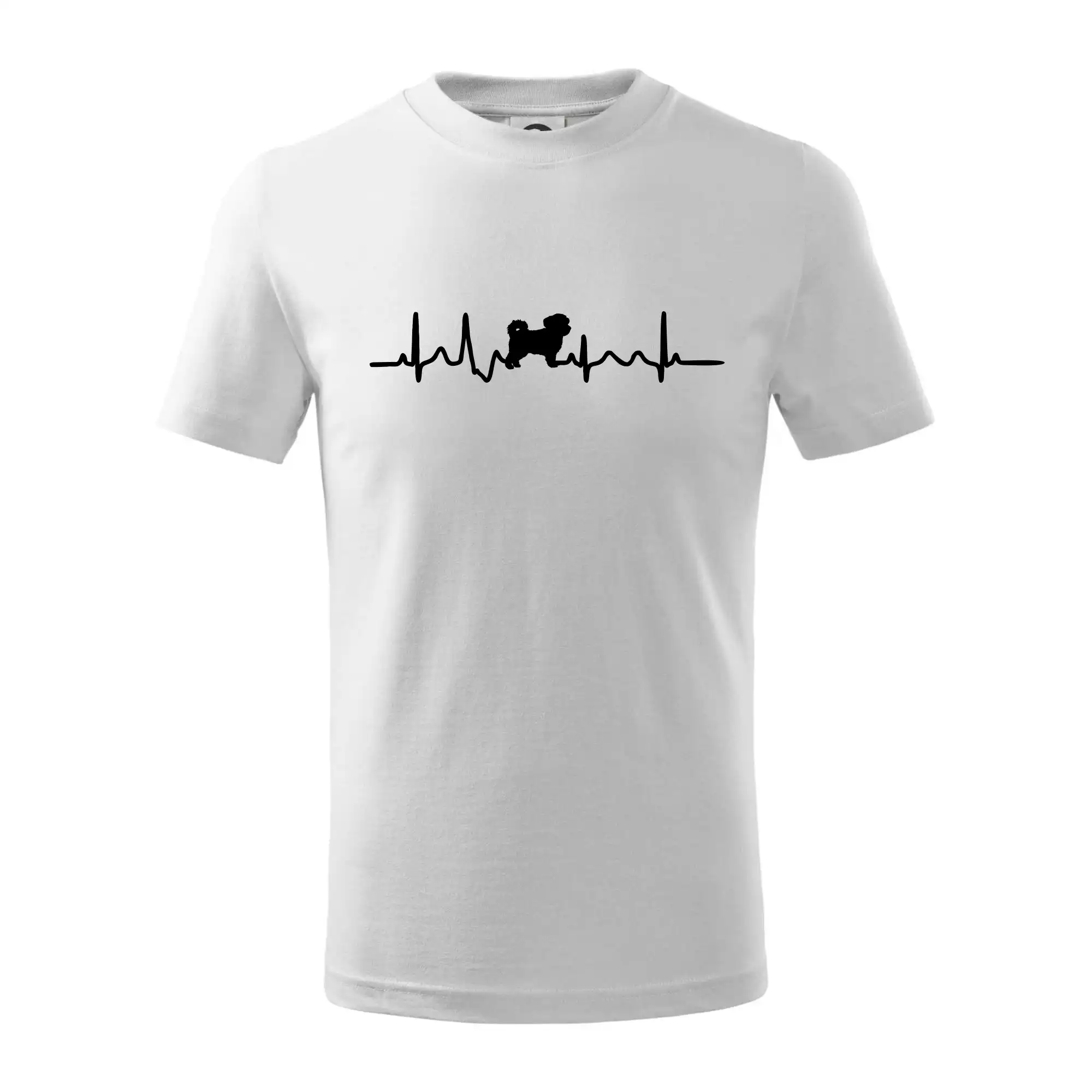 Havanský psík ekg