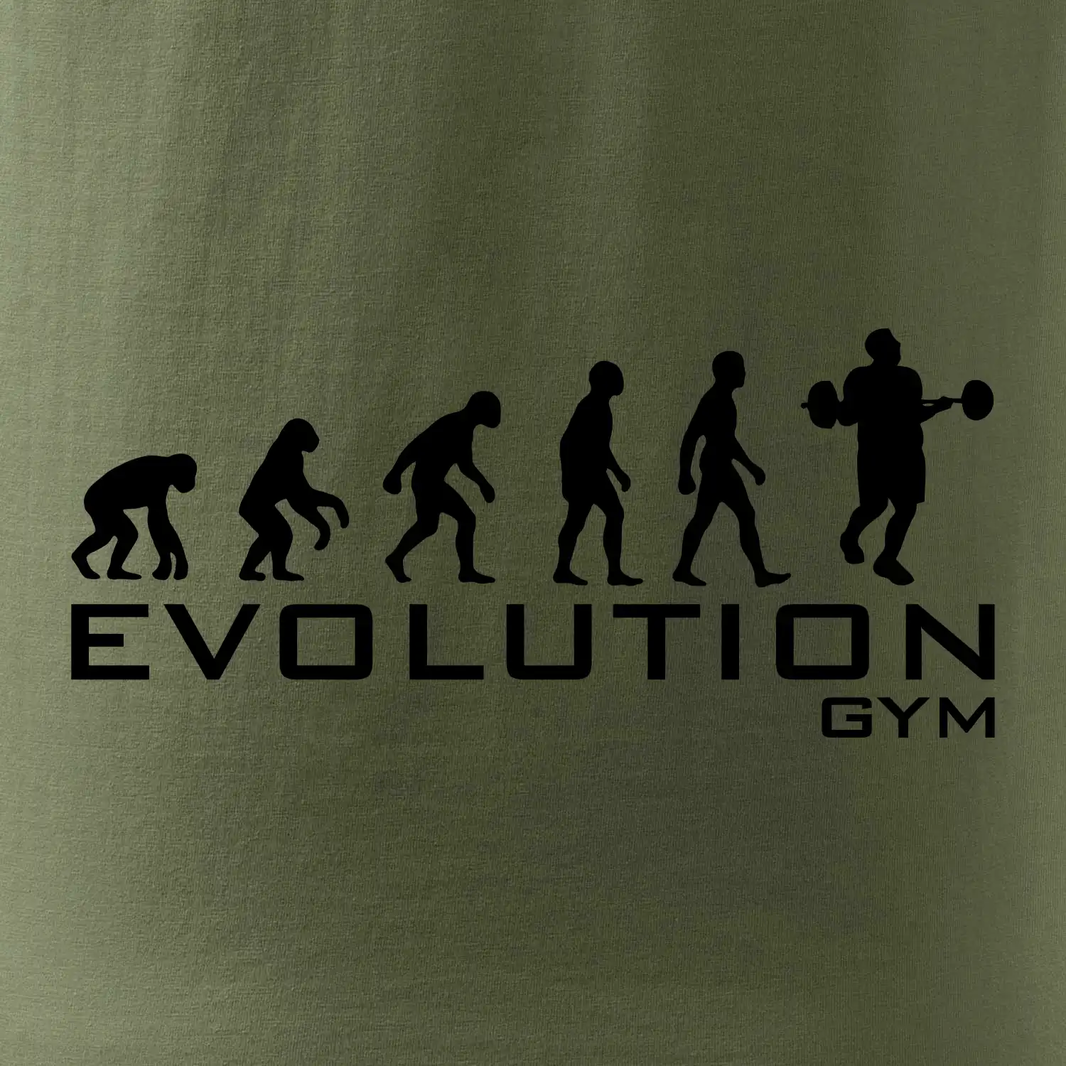 Evoluce Gym