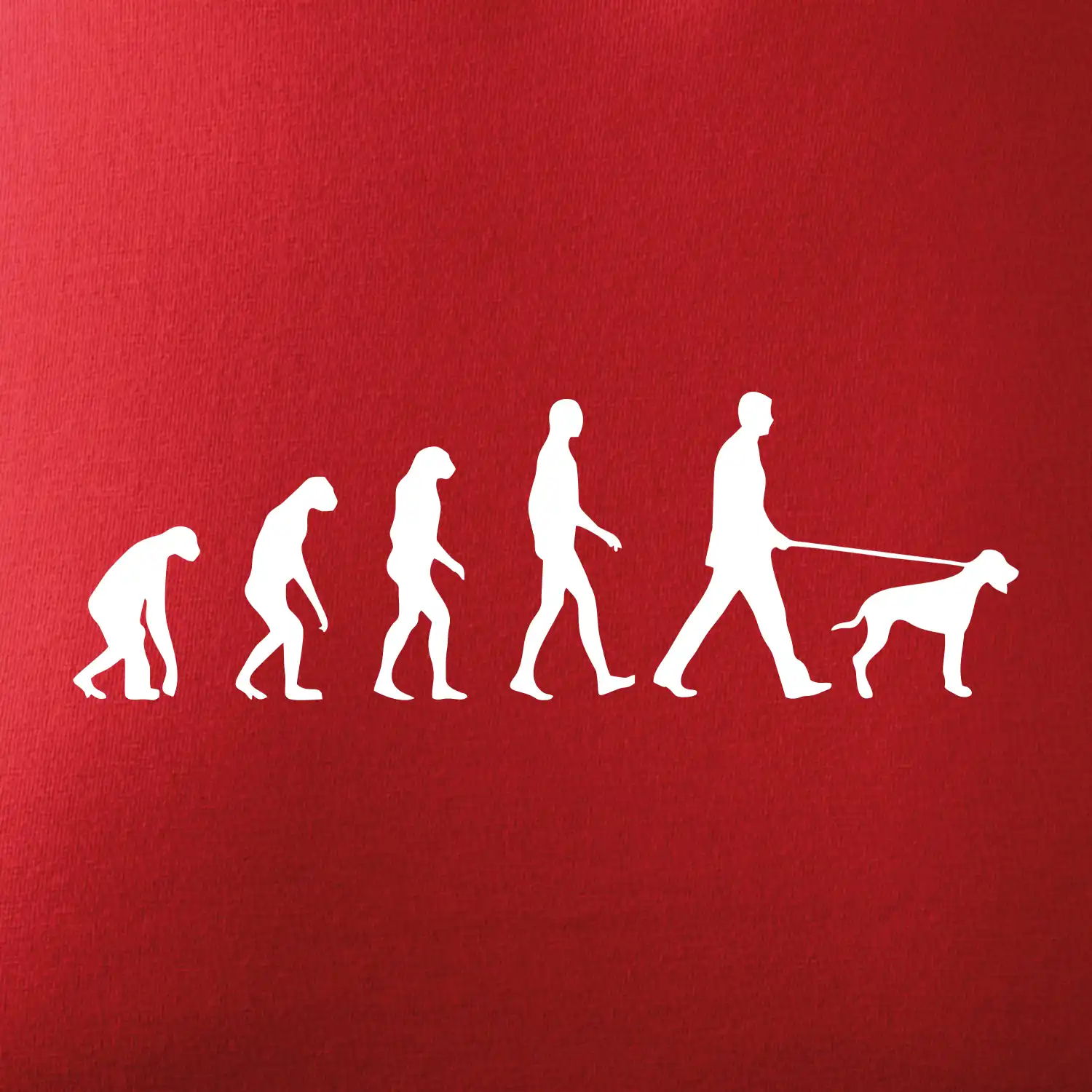 Evoluce pes ohař