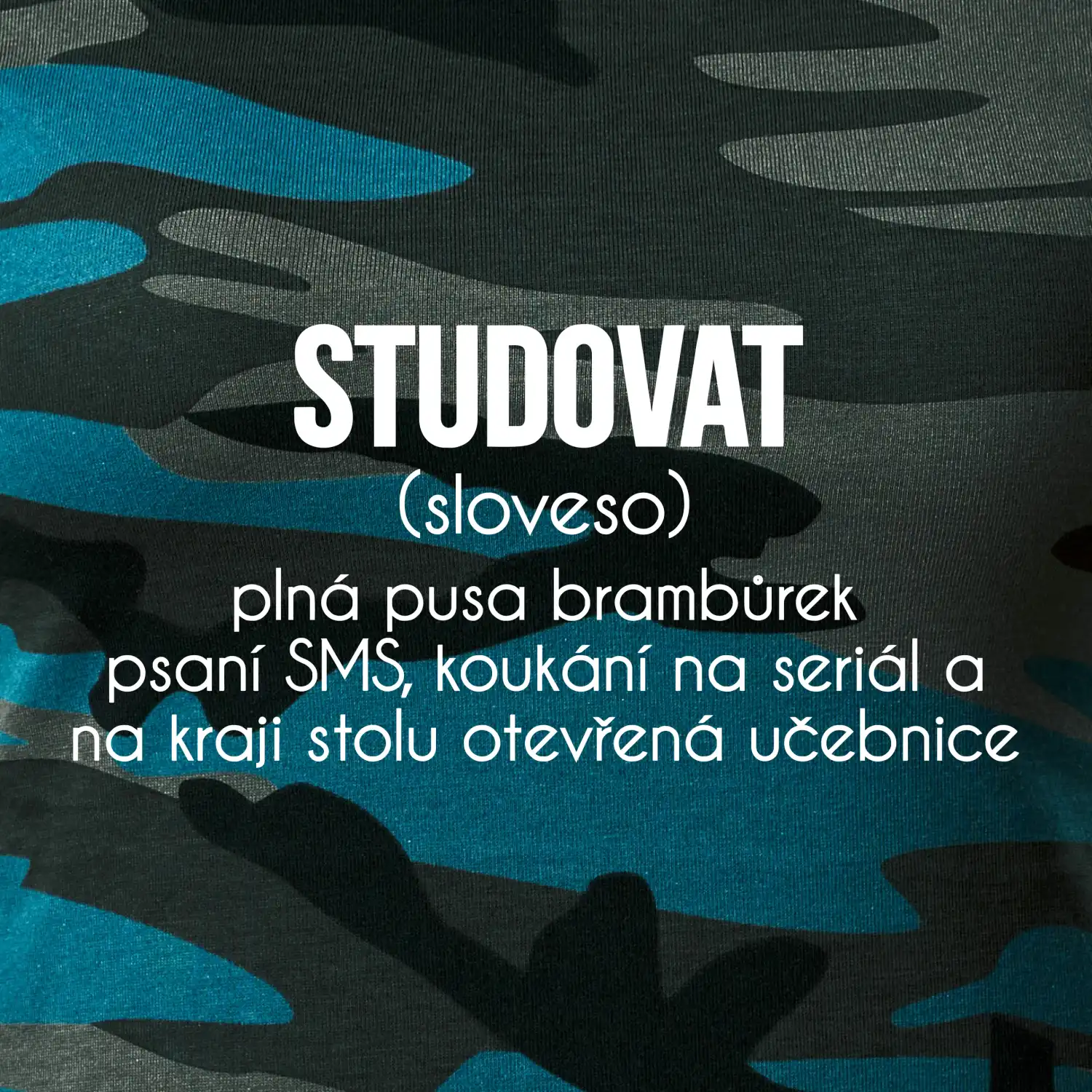 Studovat