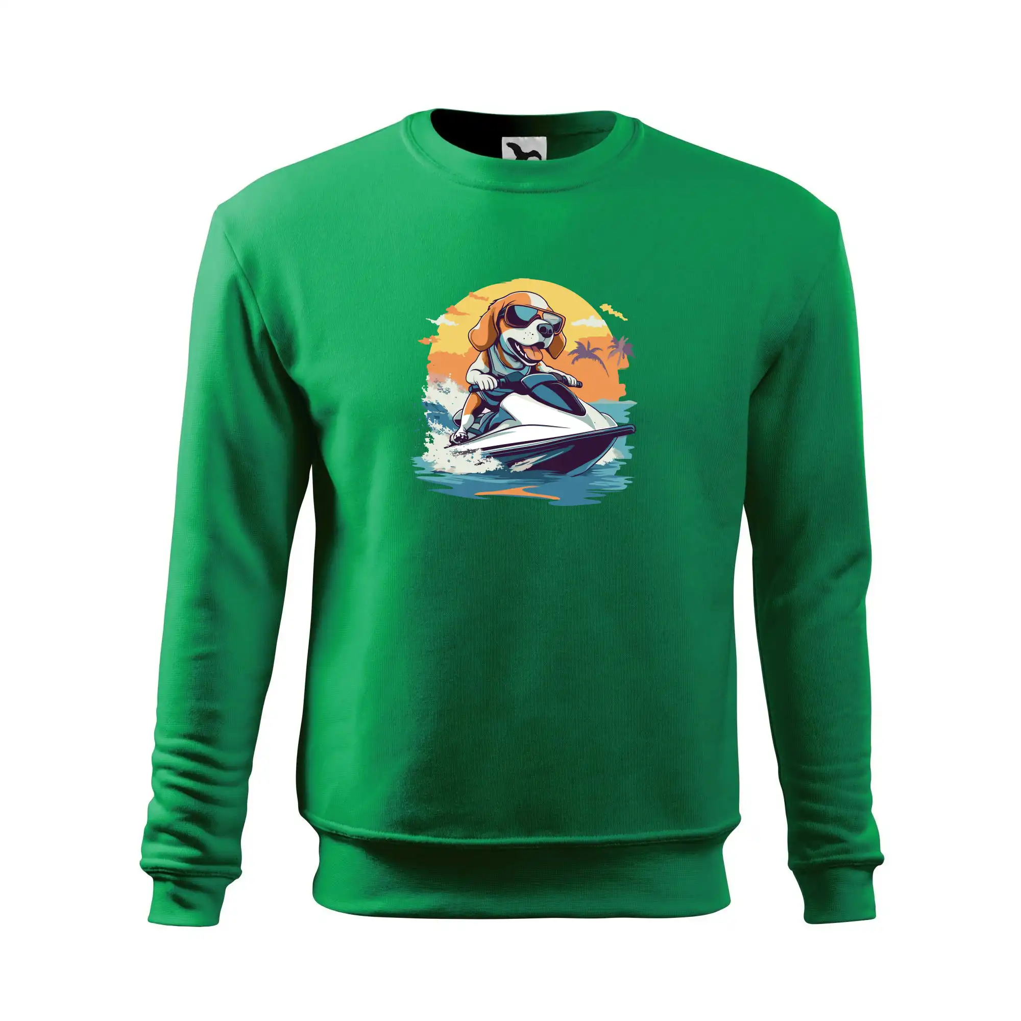 Bígl na vodním skútru