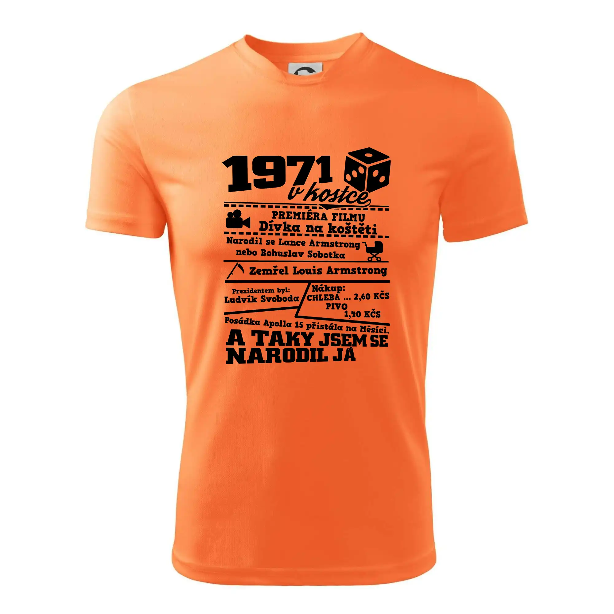 1971 v kostce