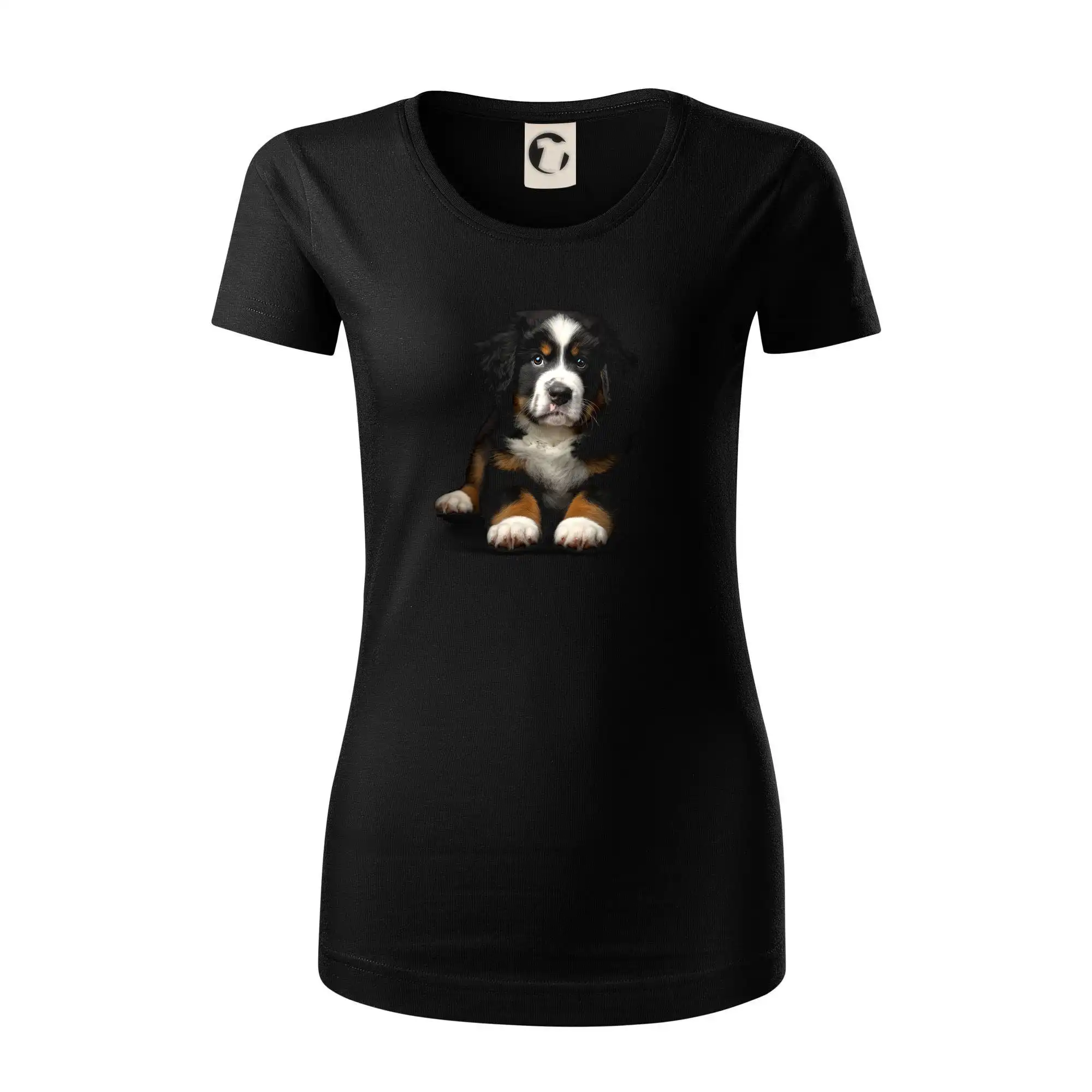 Bernský salašnický pes štěně černá fotka