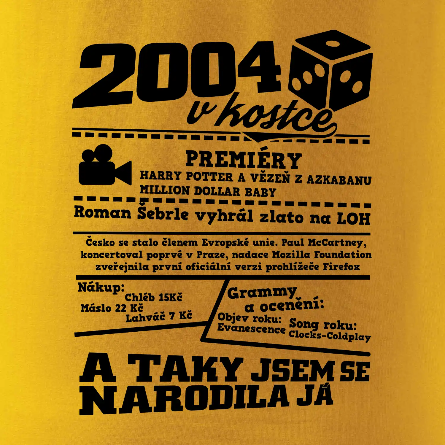 2004 v kostce