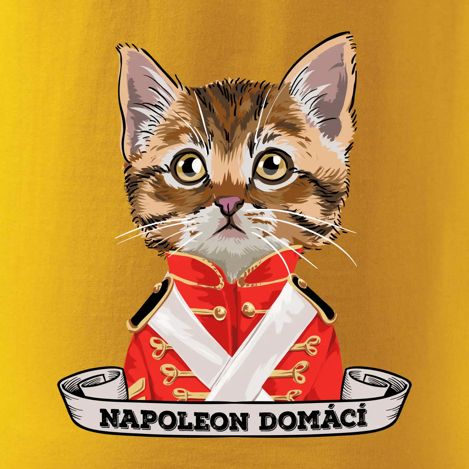 Napoleon domácí kočka