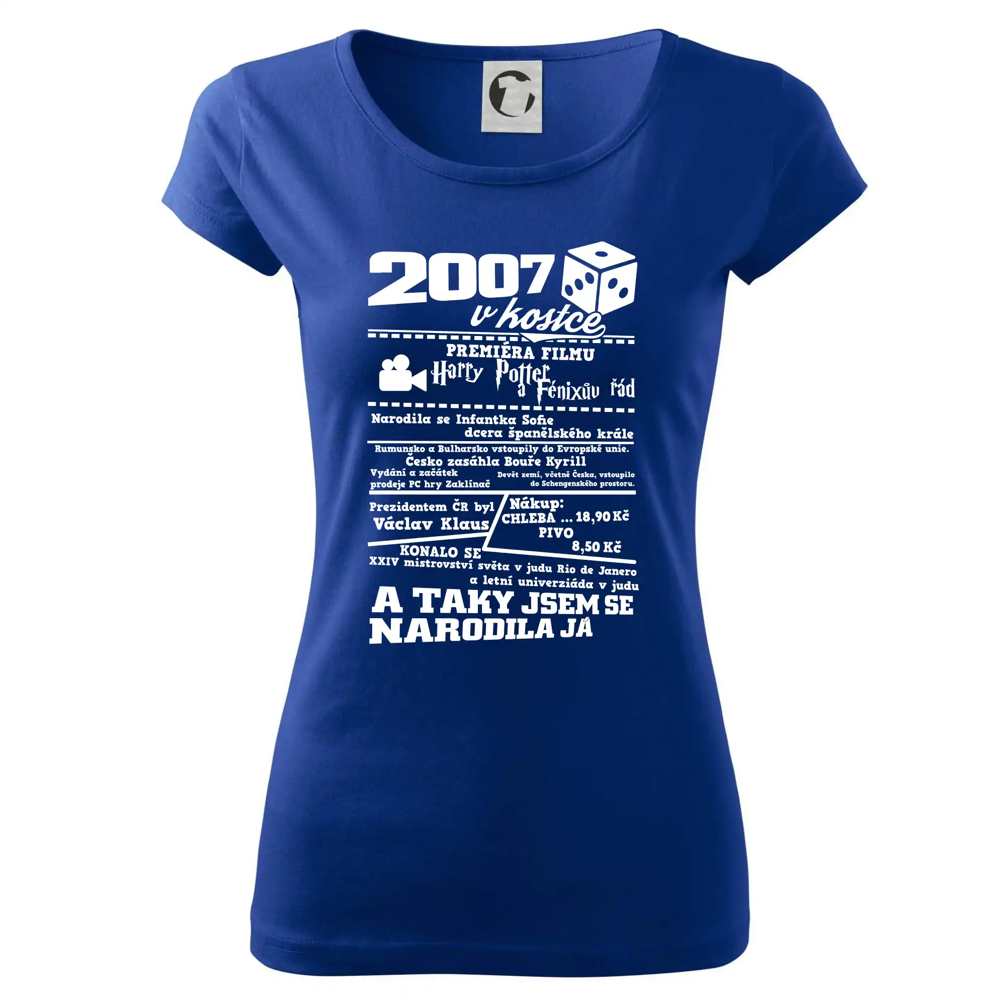 2007 v kostce