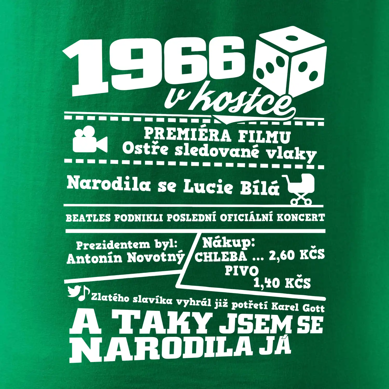 1966 v kostce