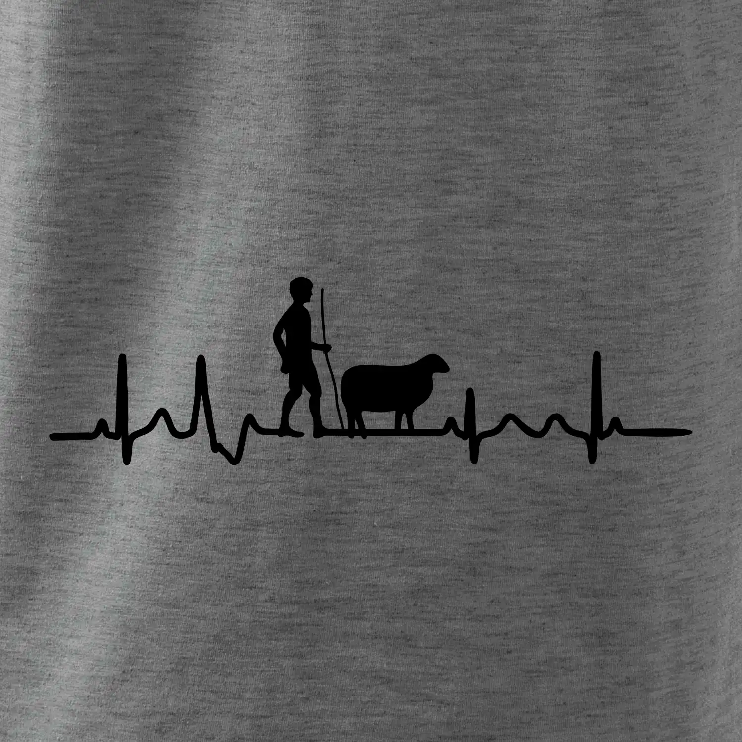 Ekg pastevec ovcí