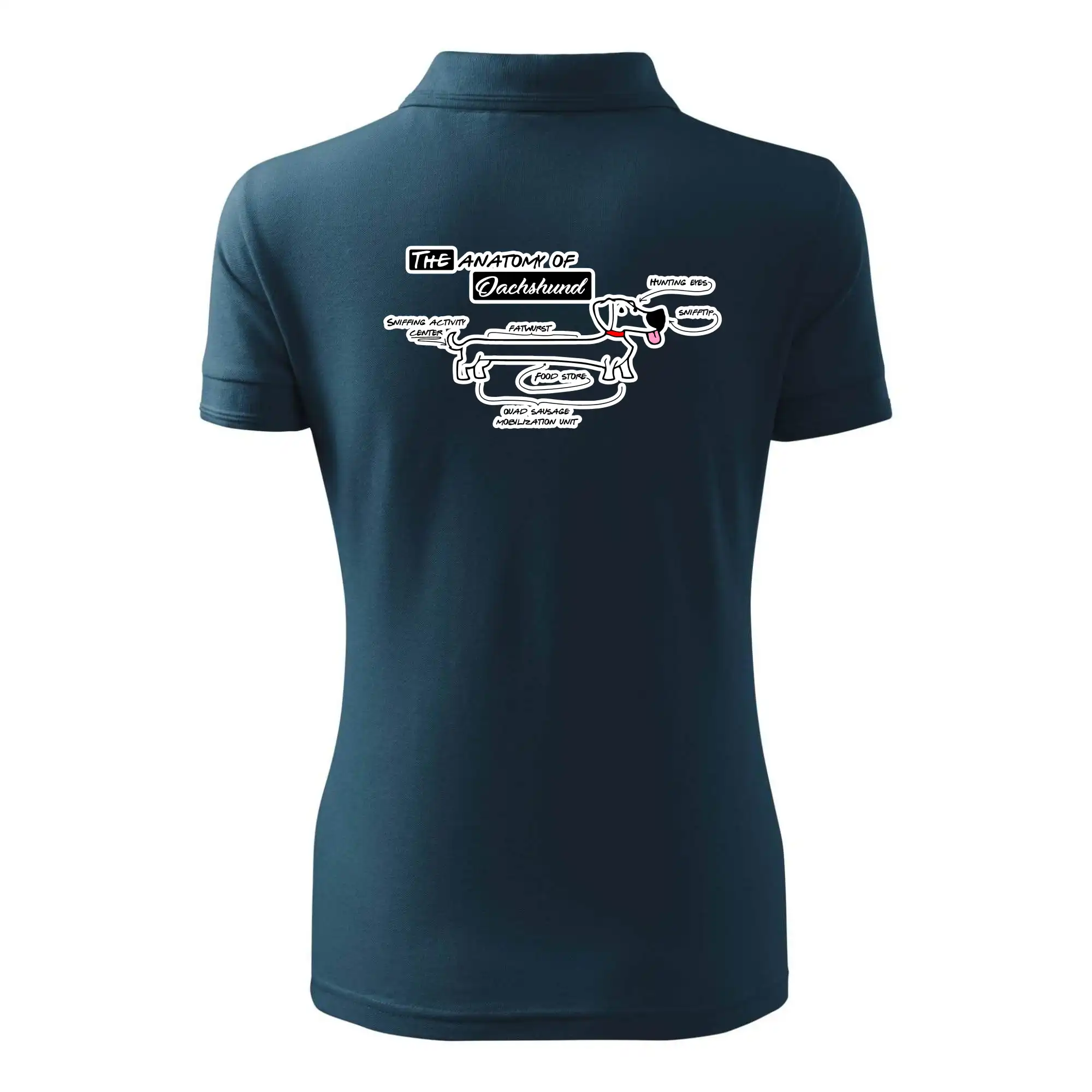 Jezevčík - Anatomie