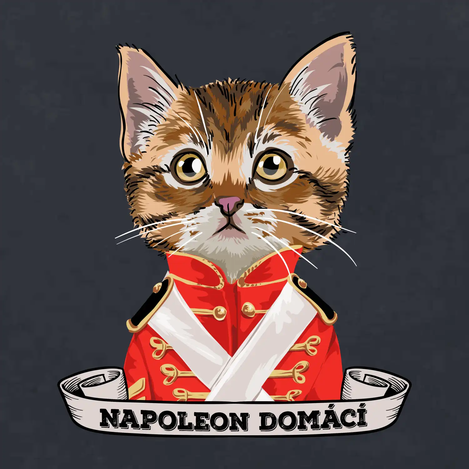 Napoleon domácí kočka