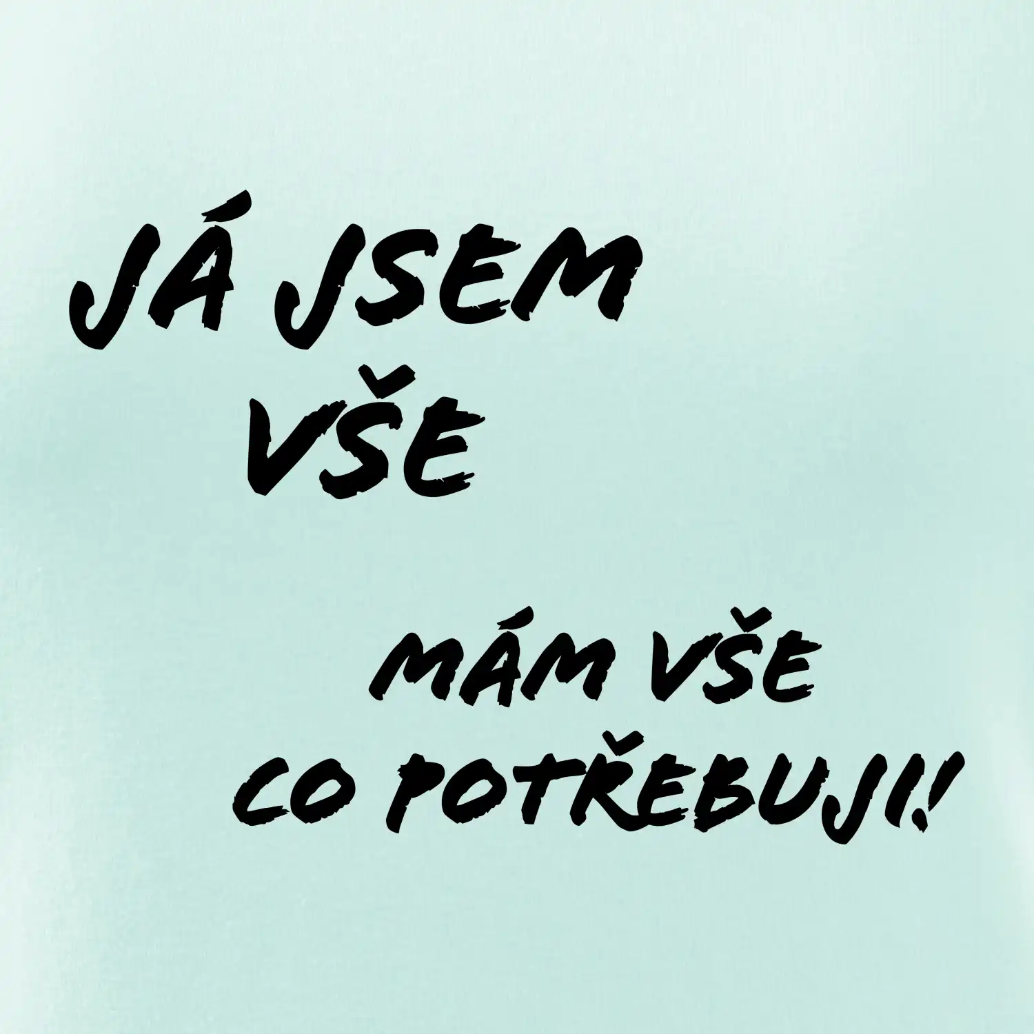 Nápis mám vše co potřebuji