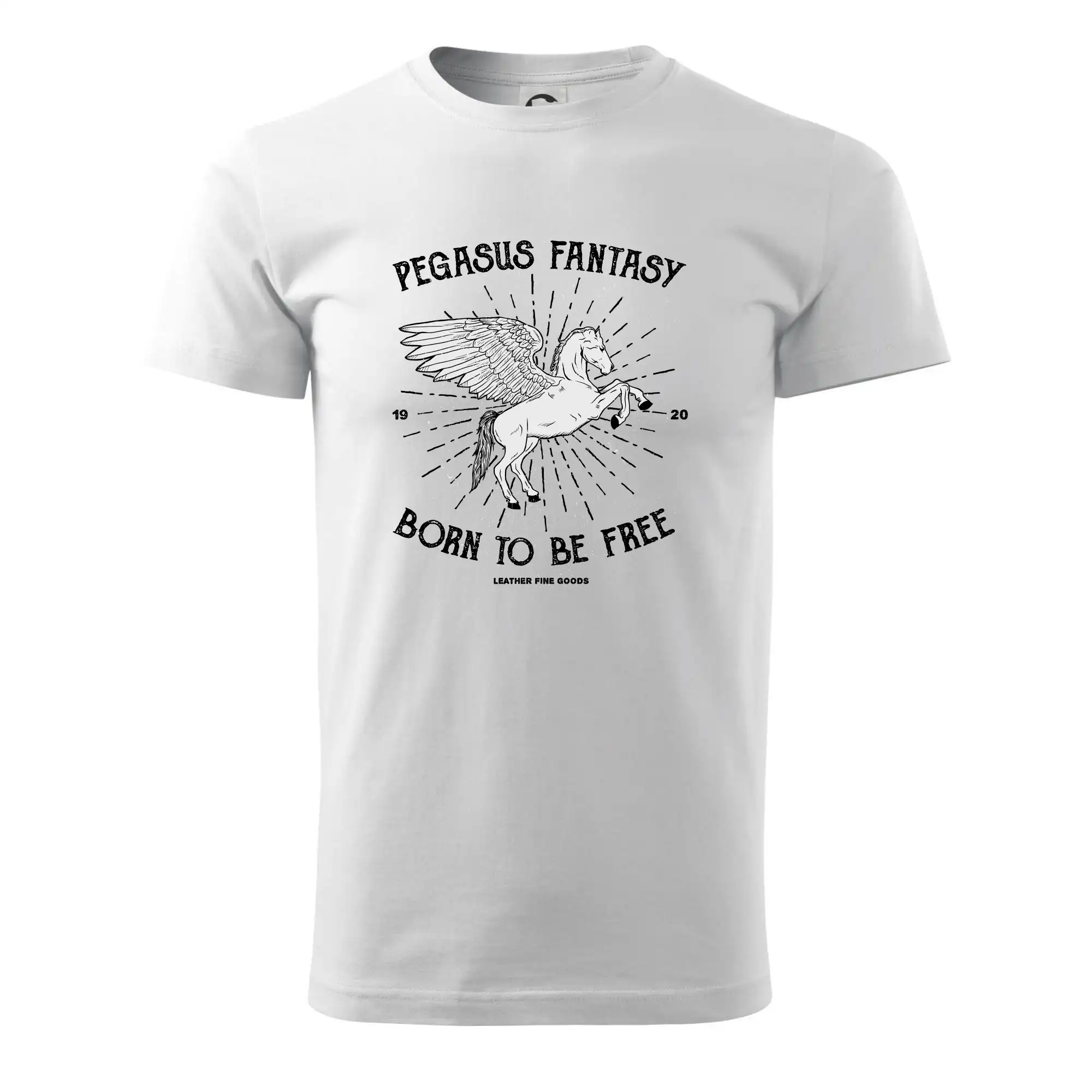 Pegasus fantasy