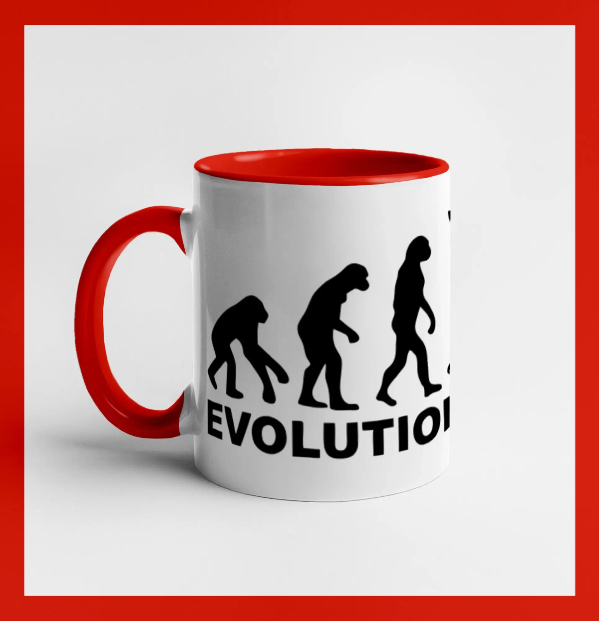 Evoluce airsoft