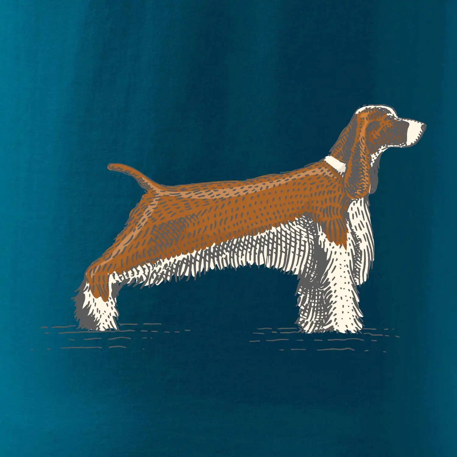 Vintage Springer spaniel