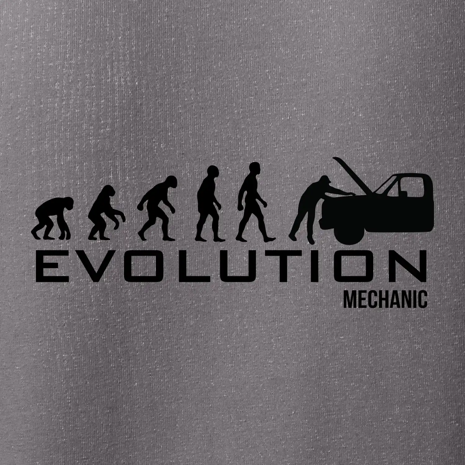 Evoluce mechanik