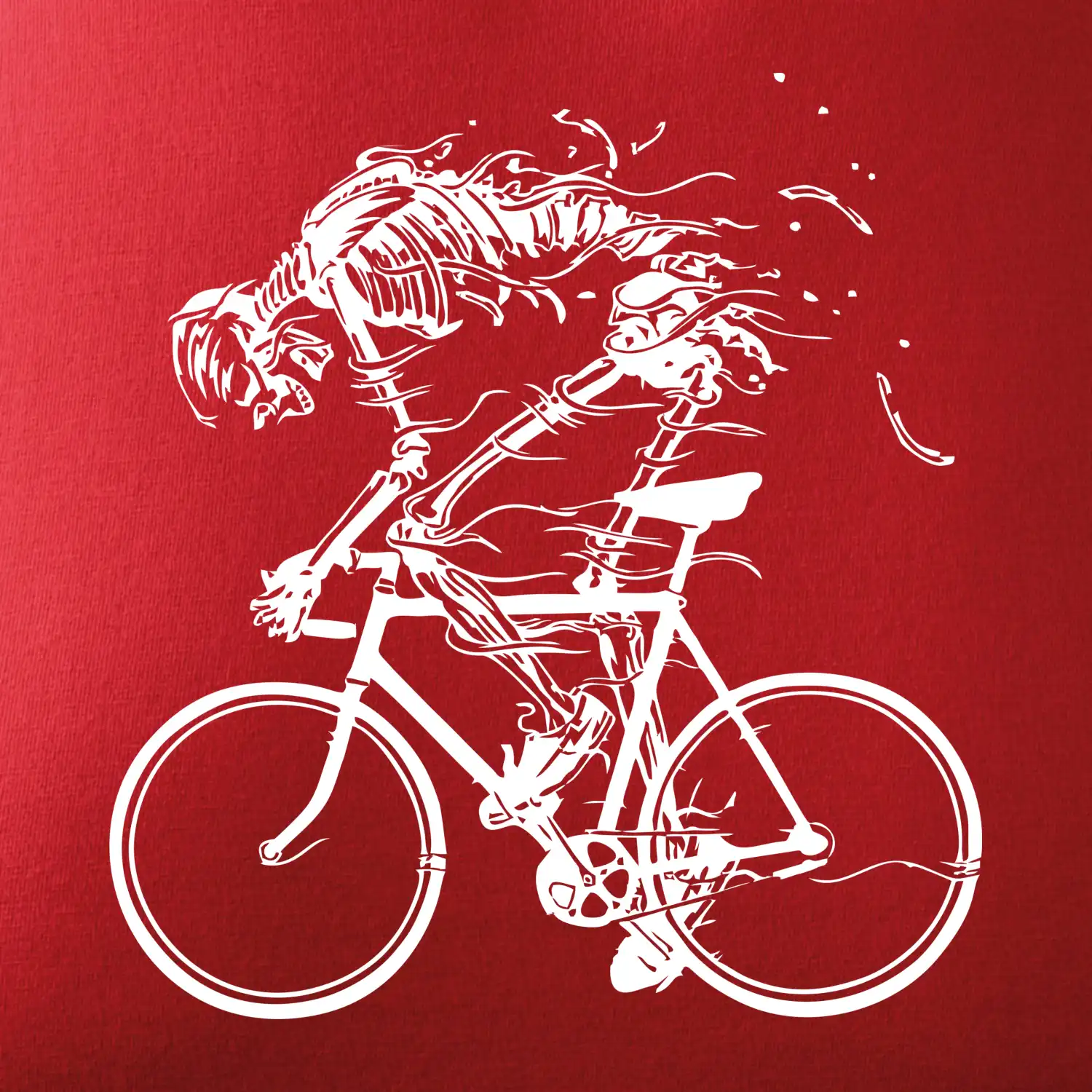 Cyklo kostra
