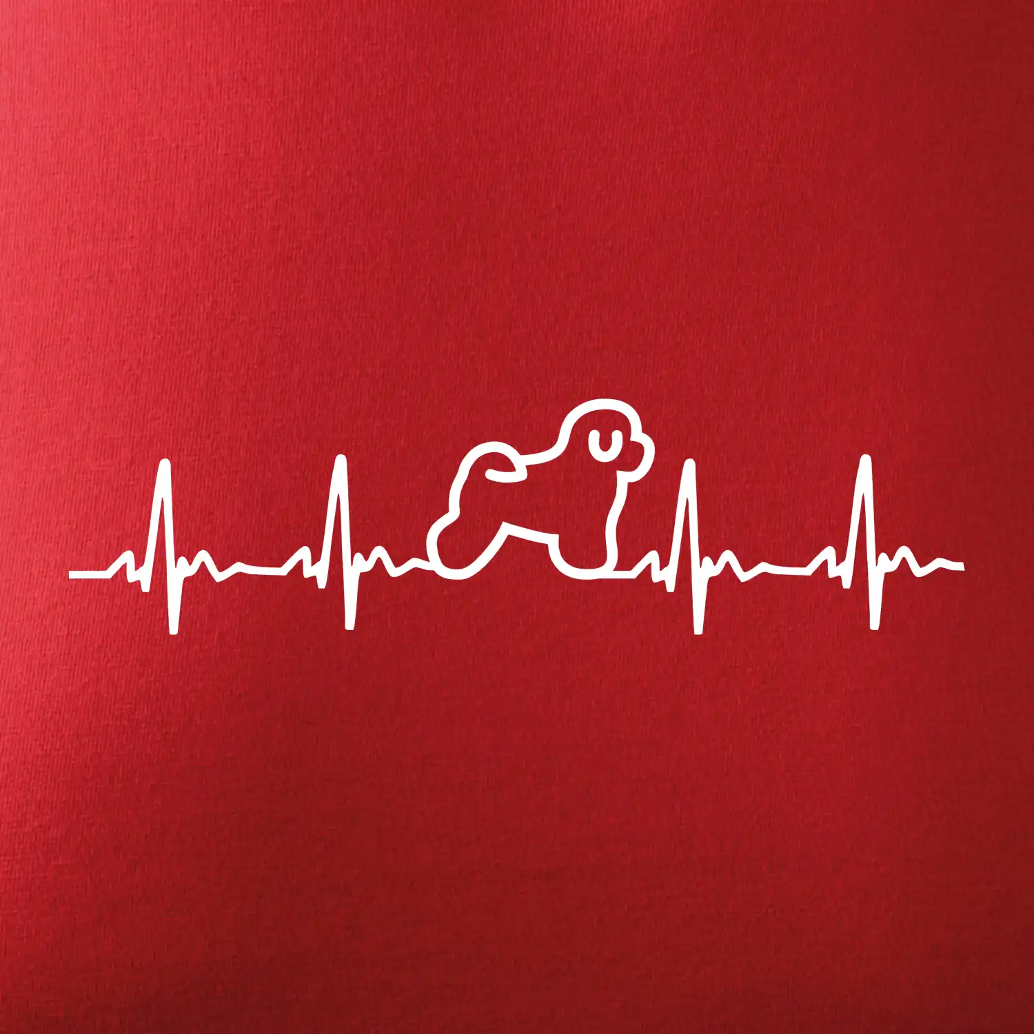 Bišonek ekg
