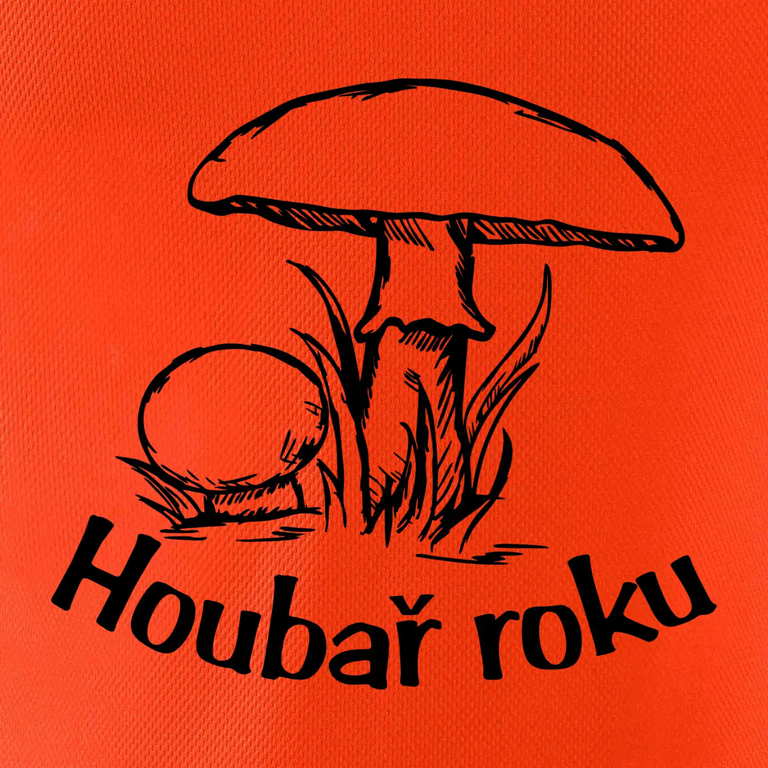 Houbař roku