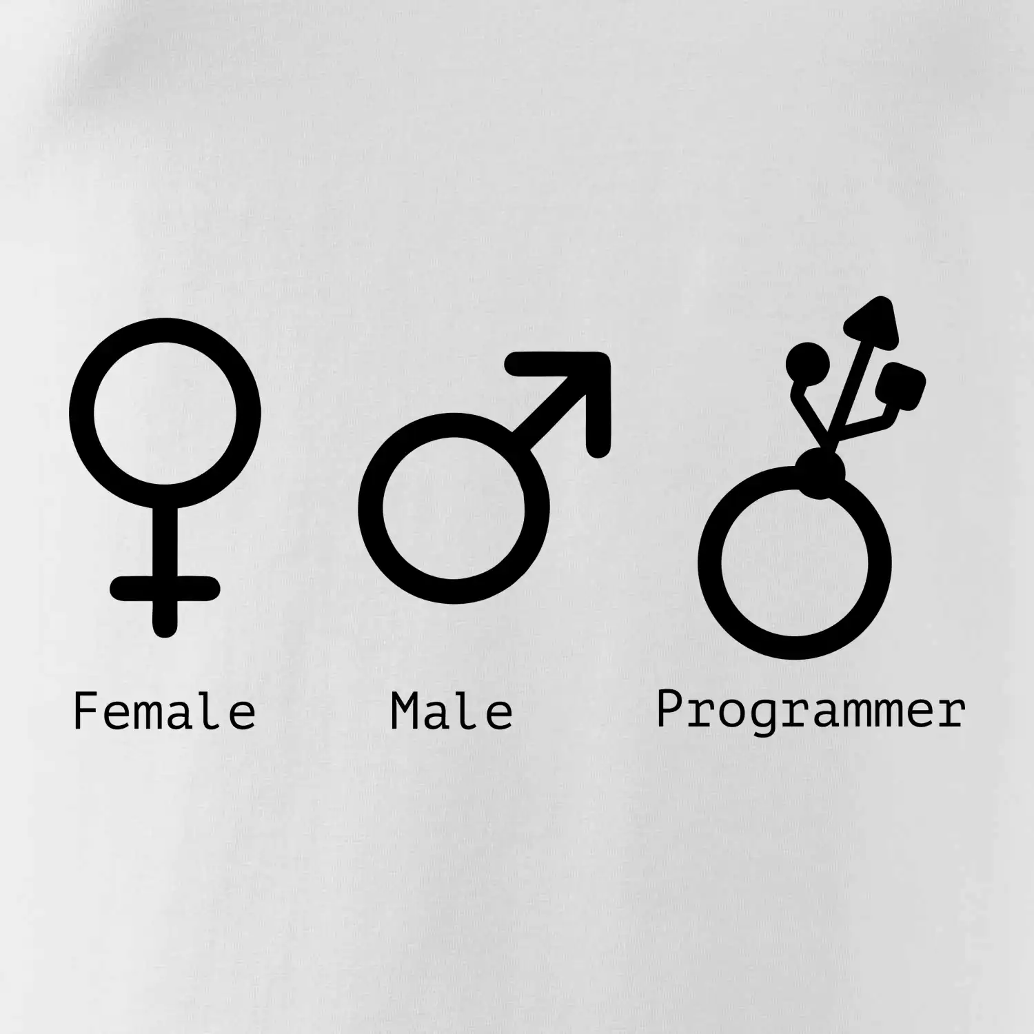 Female male programmer