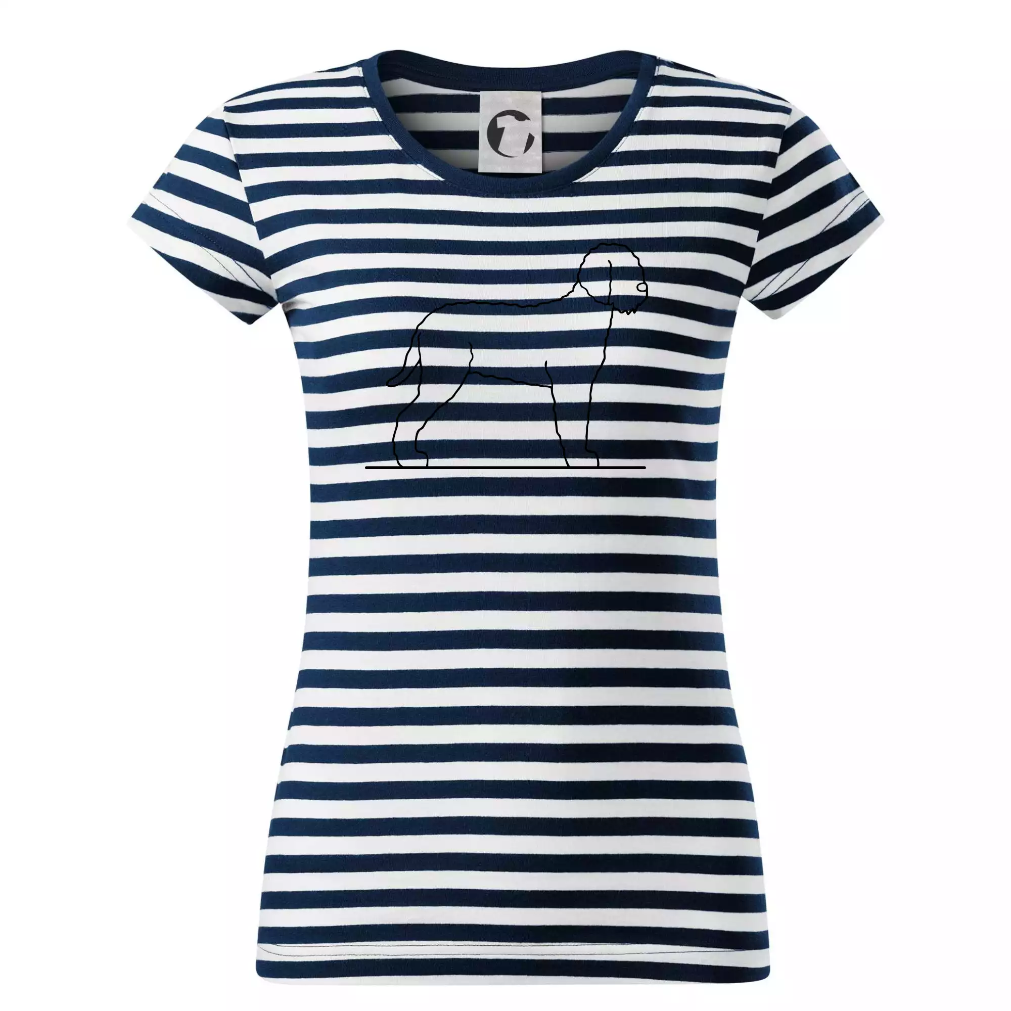 Lagotto romagnolo stojící