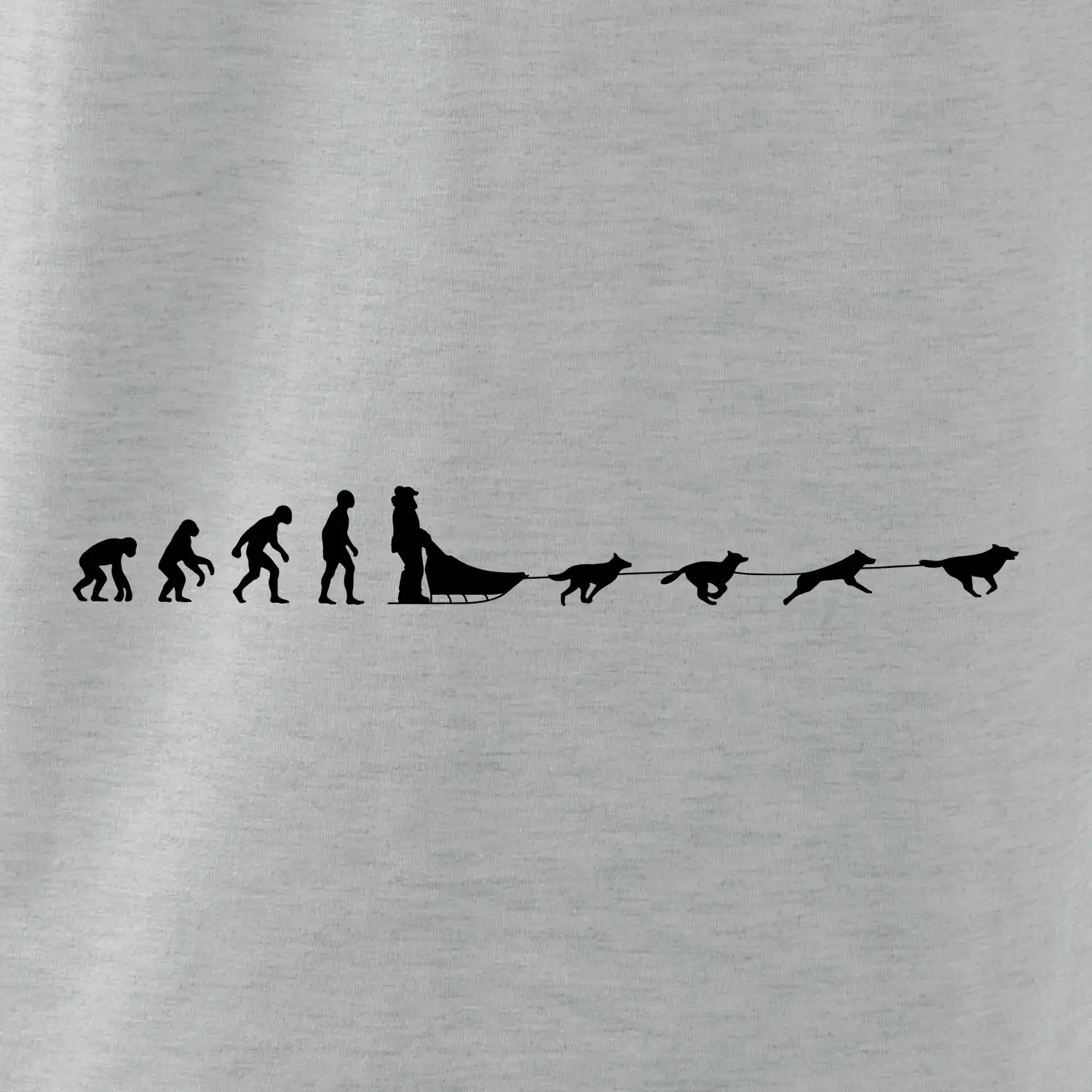 Evoluce psí spřežení