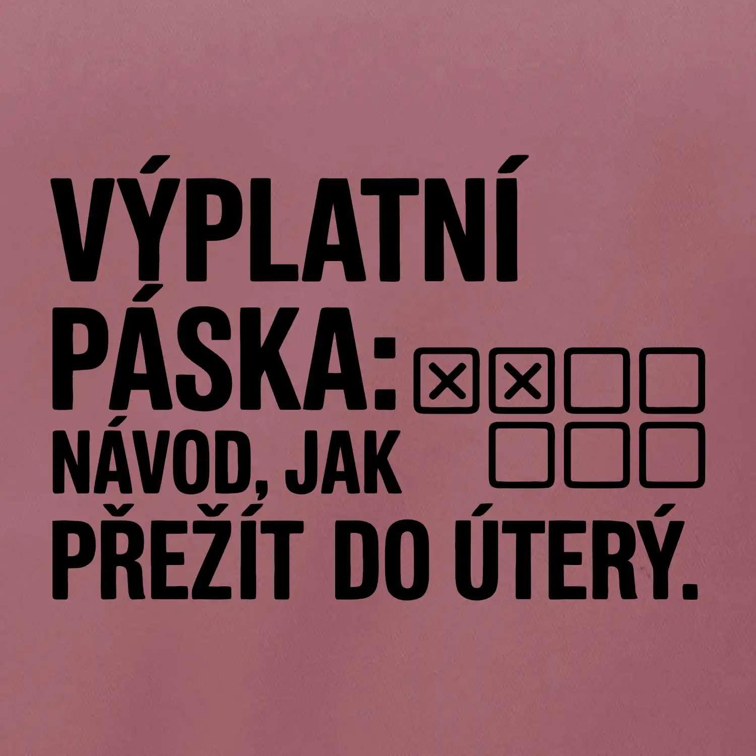 VÝPLATNÍ PÁSKA: Návod, jak přežít do úterý