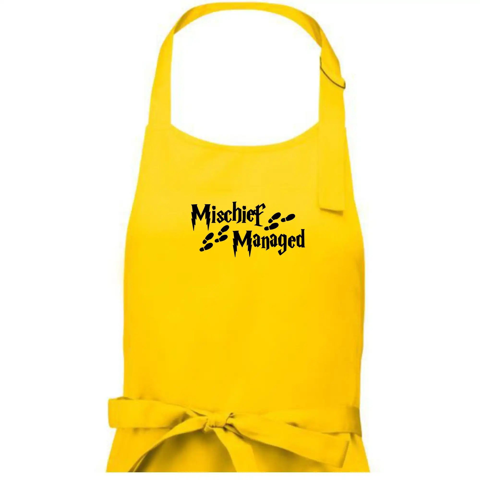 Harry - Mischief Managed