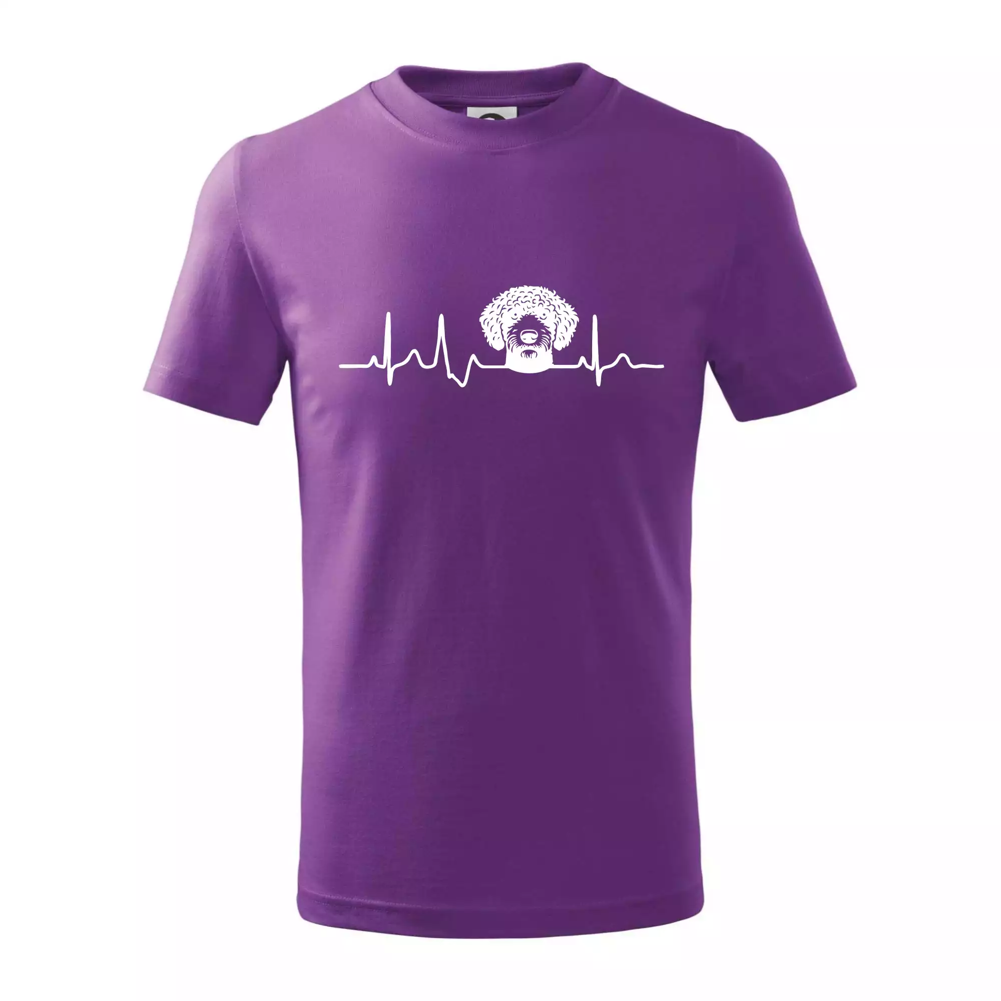 Lagotto romagnolo hlava EKG