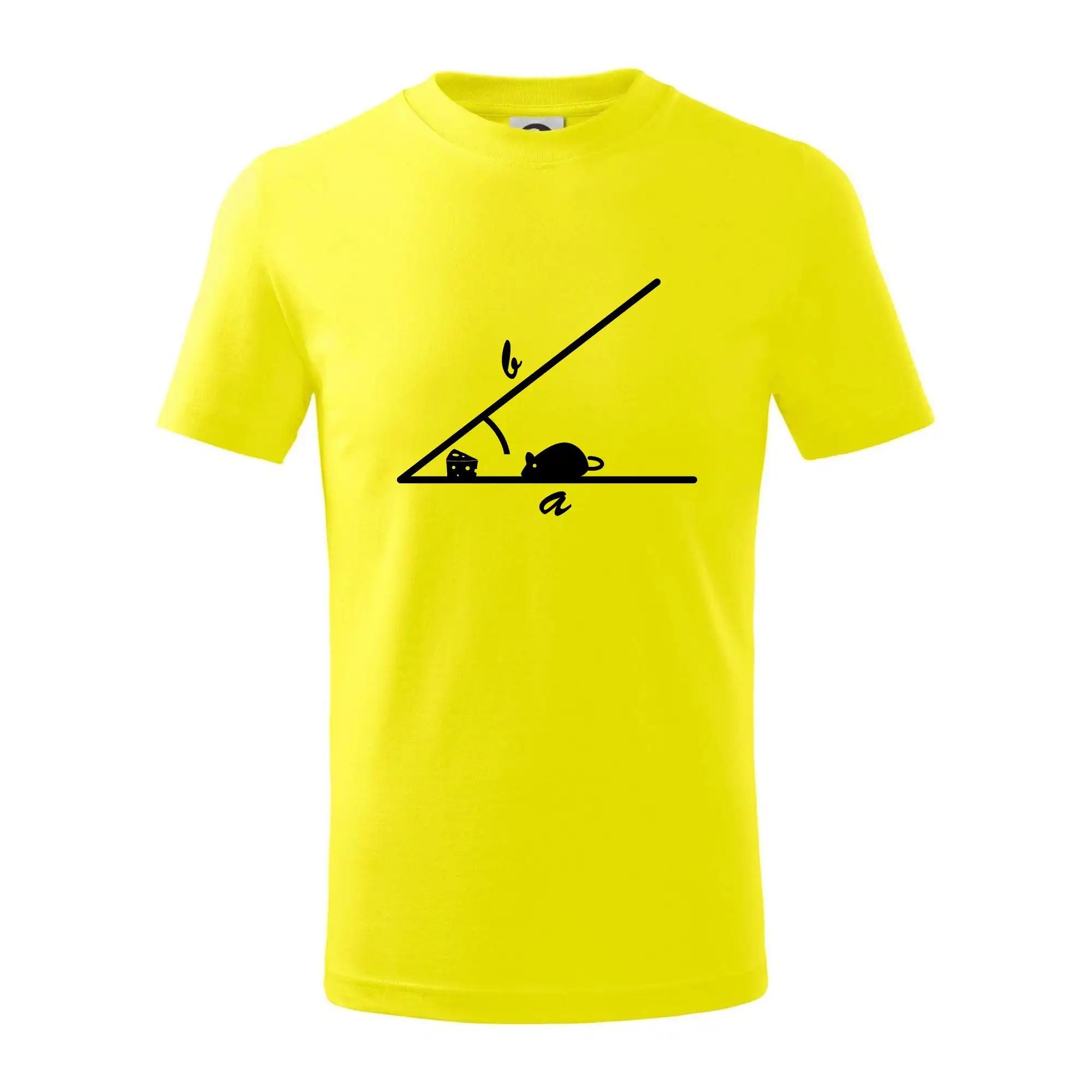 Matematická myš