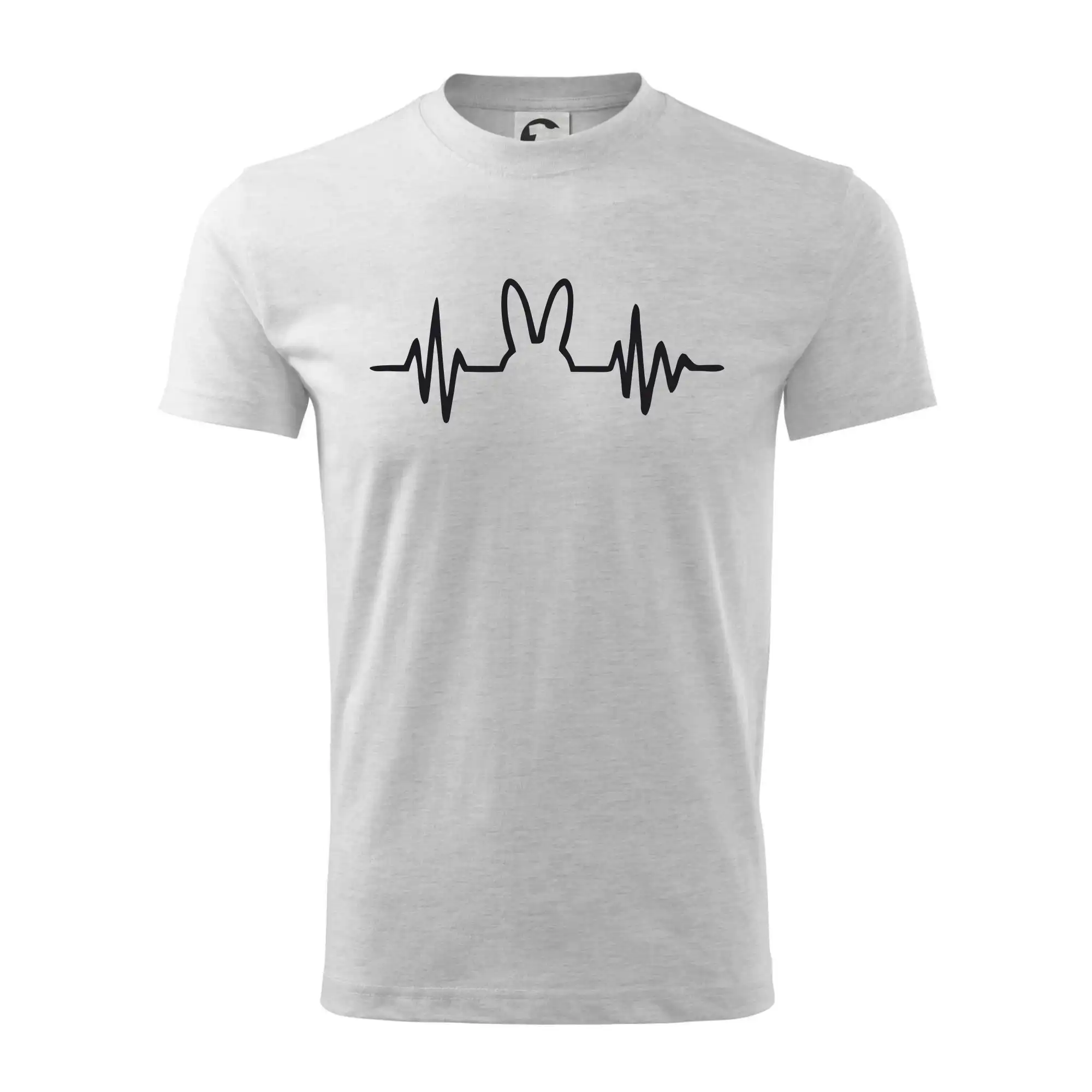 EKG zajíc