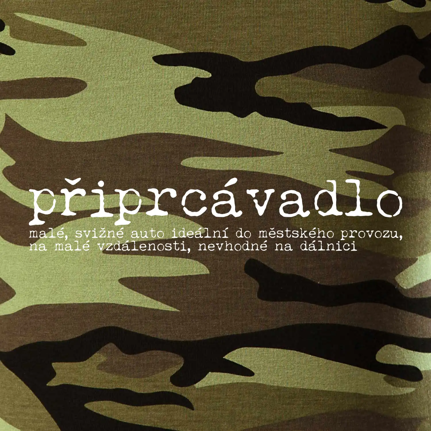 Čeština 2.0 - připrcávadlo