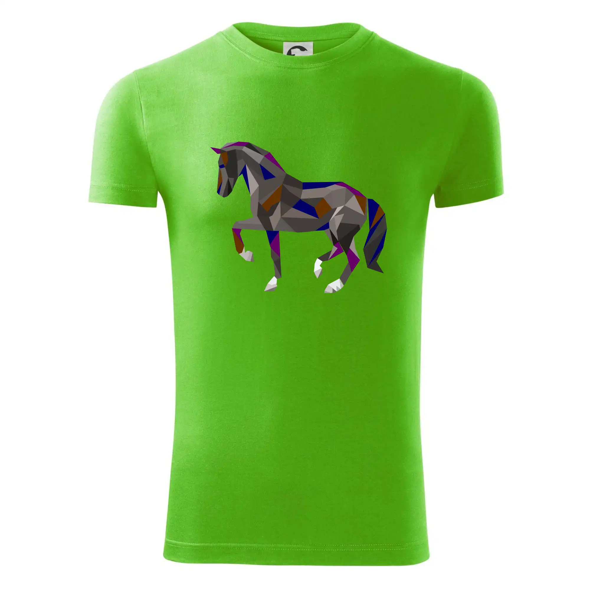 Kůň geometrie barevný