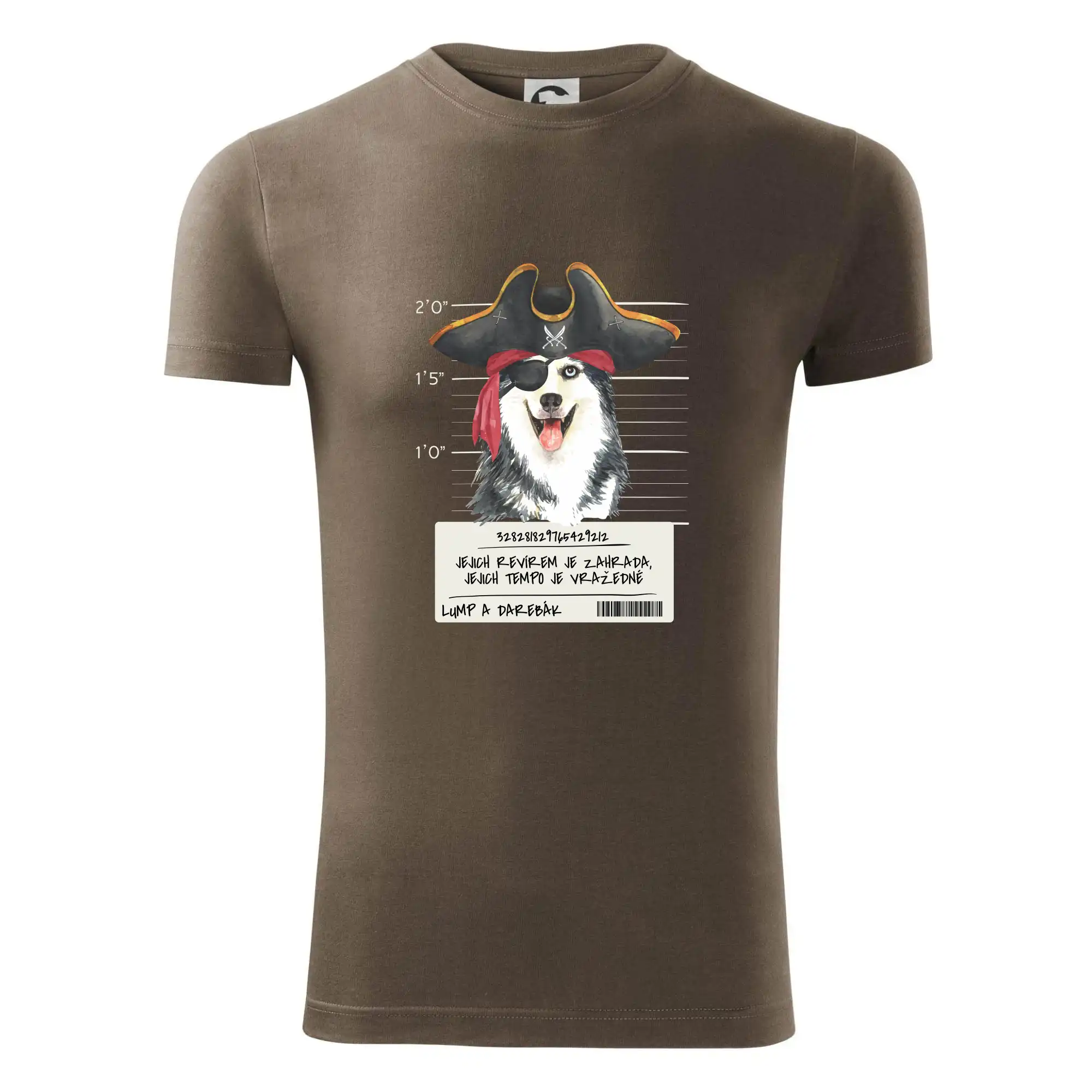 Lump a darebák husky