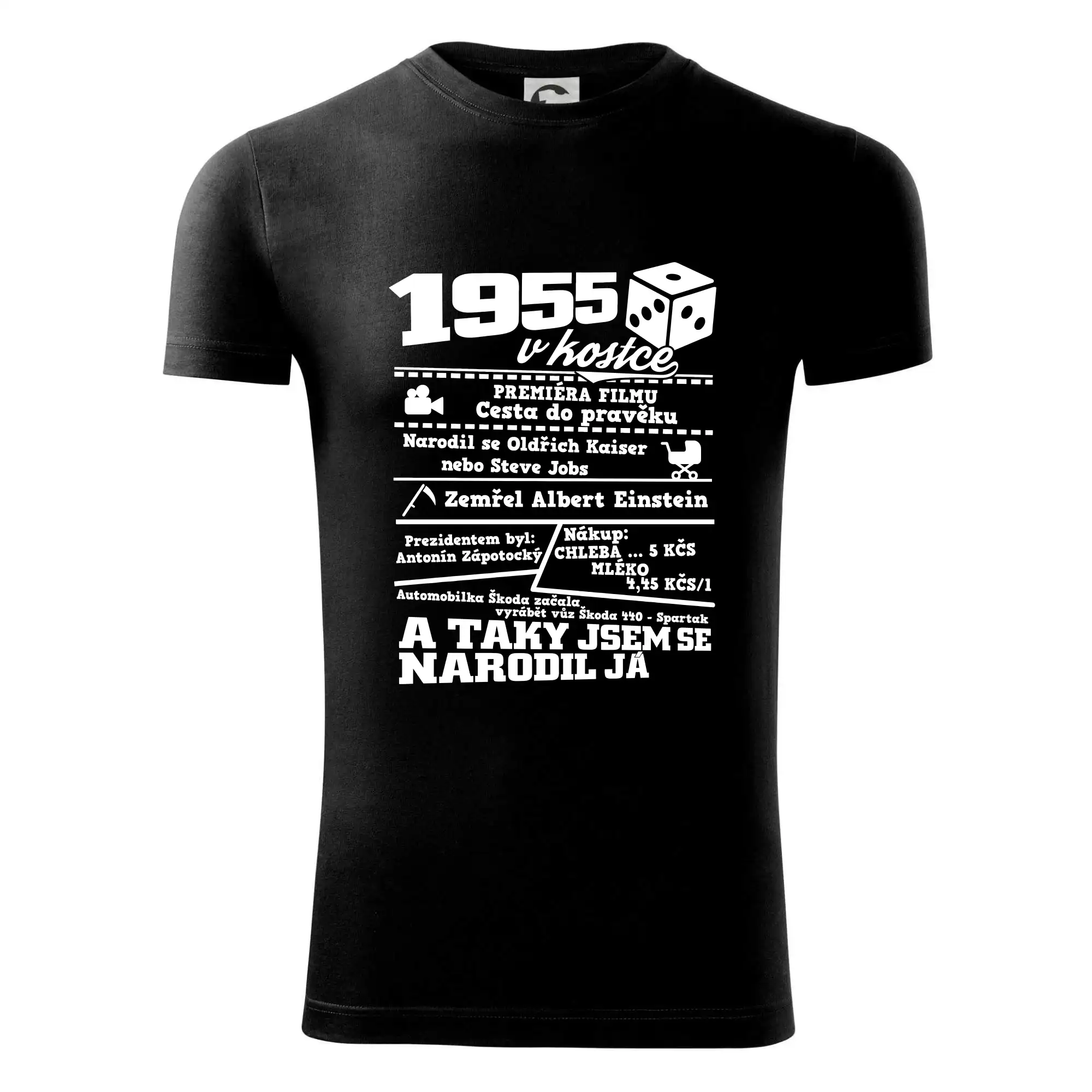 1955 v kostce