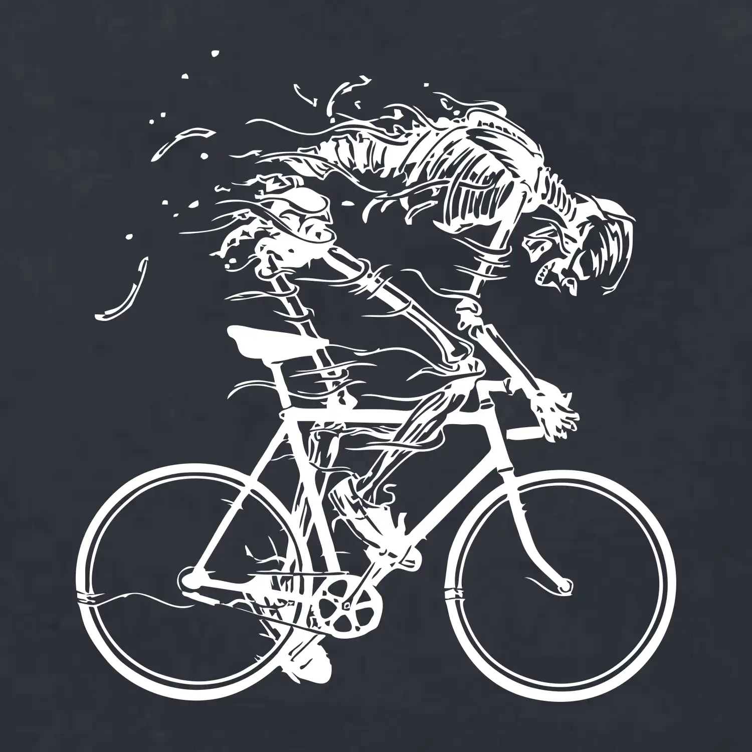 Gravel Bike - kostra