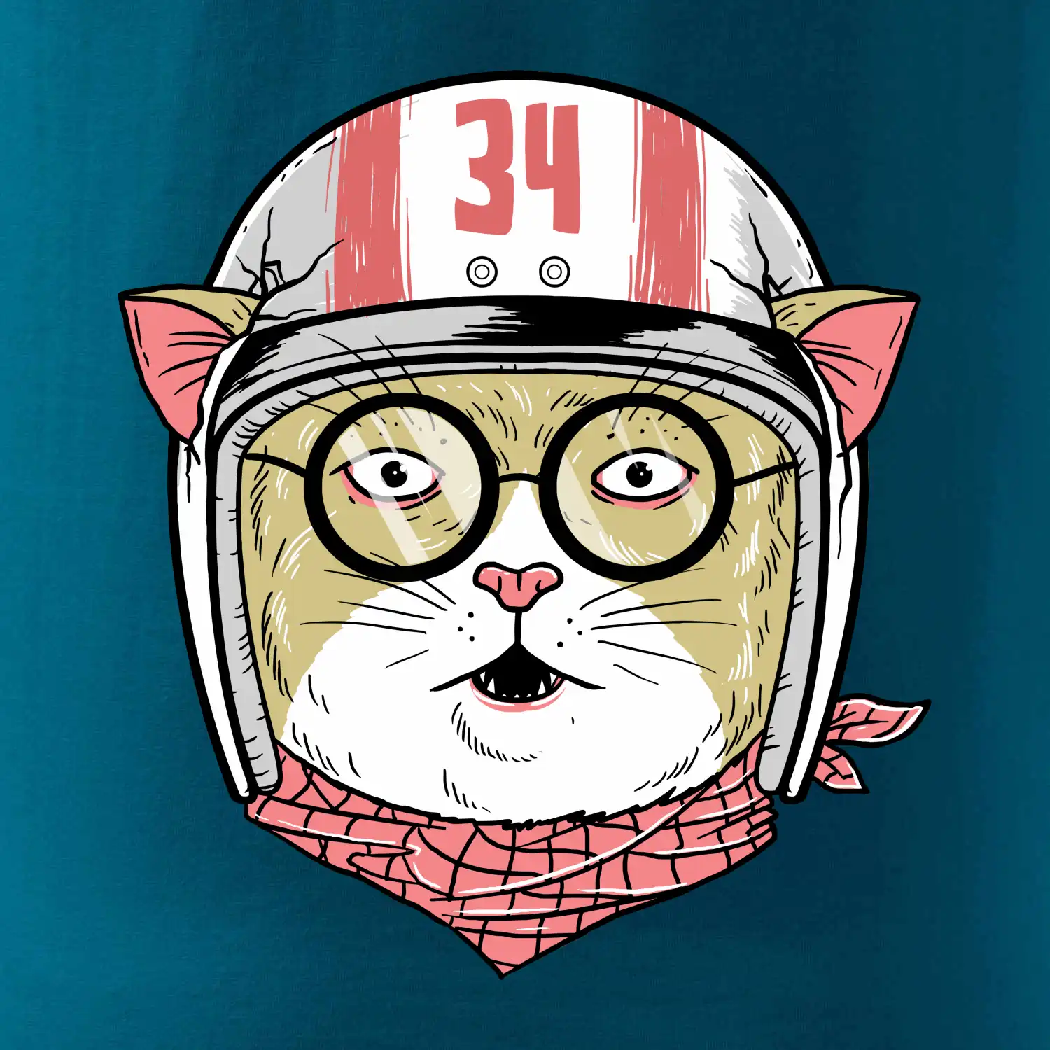 Moto kočka