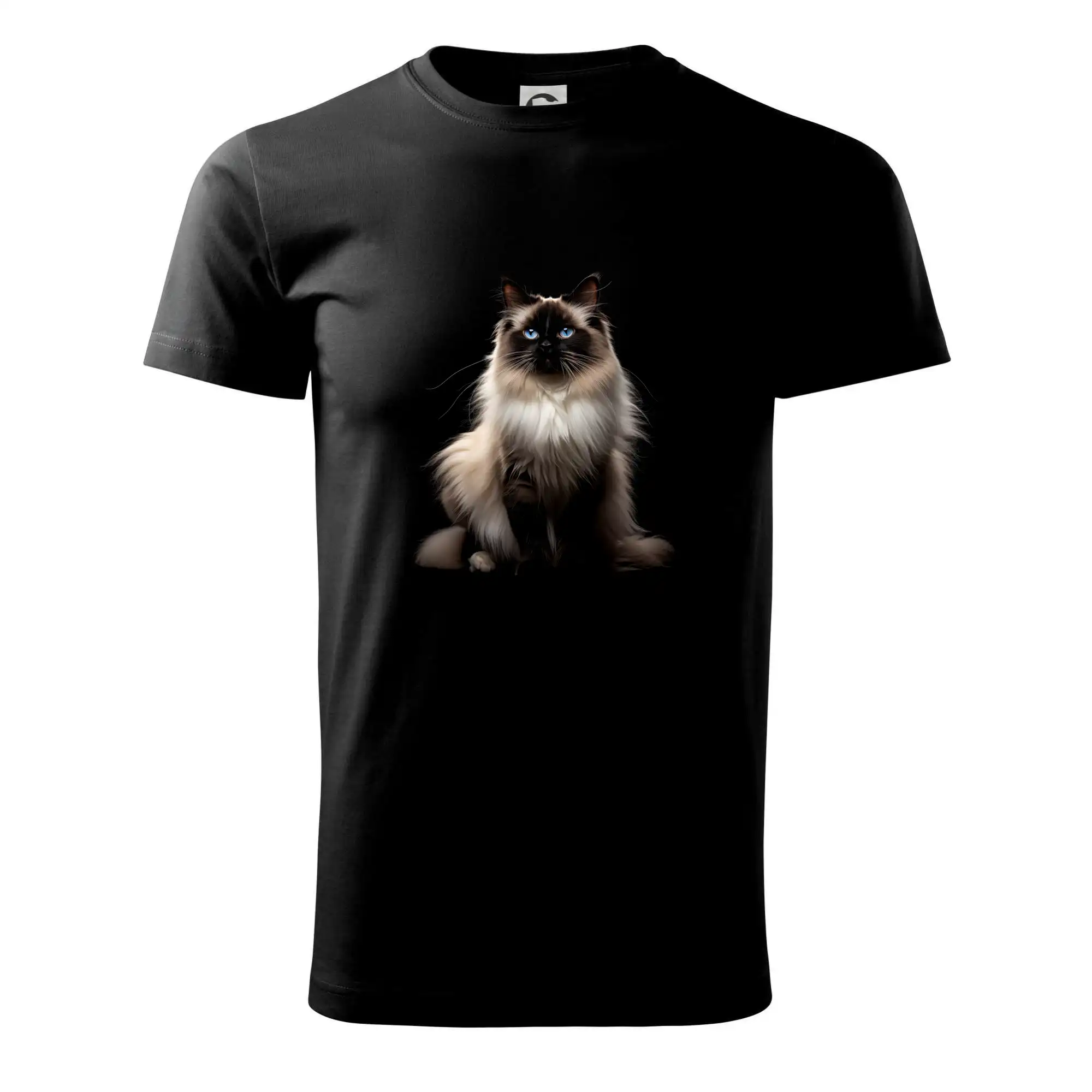 Kočka Ragdoll ze předu černá fotka