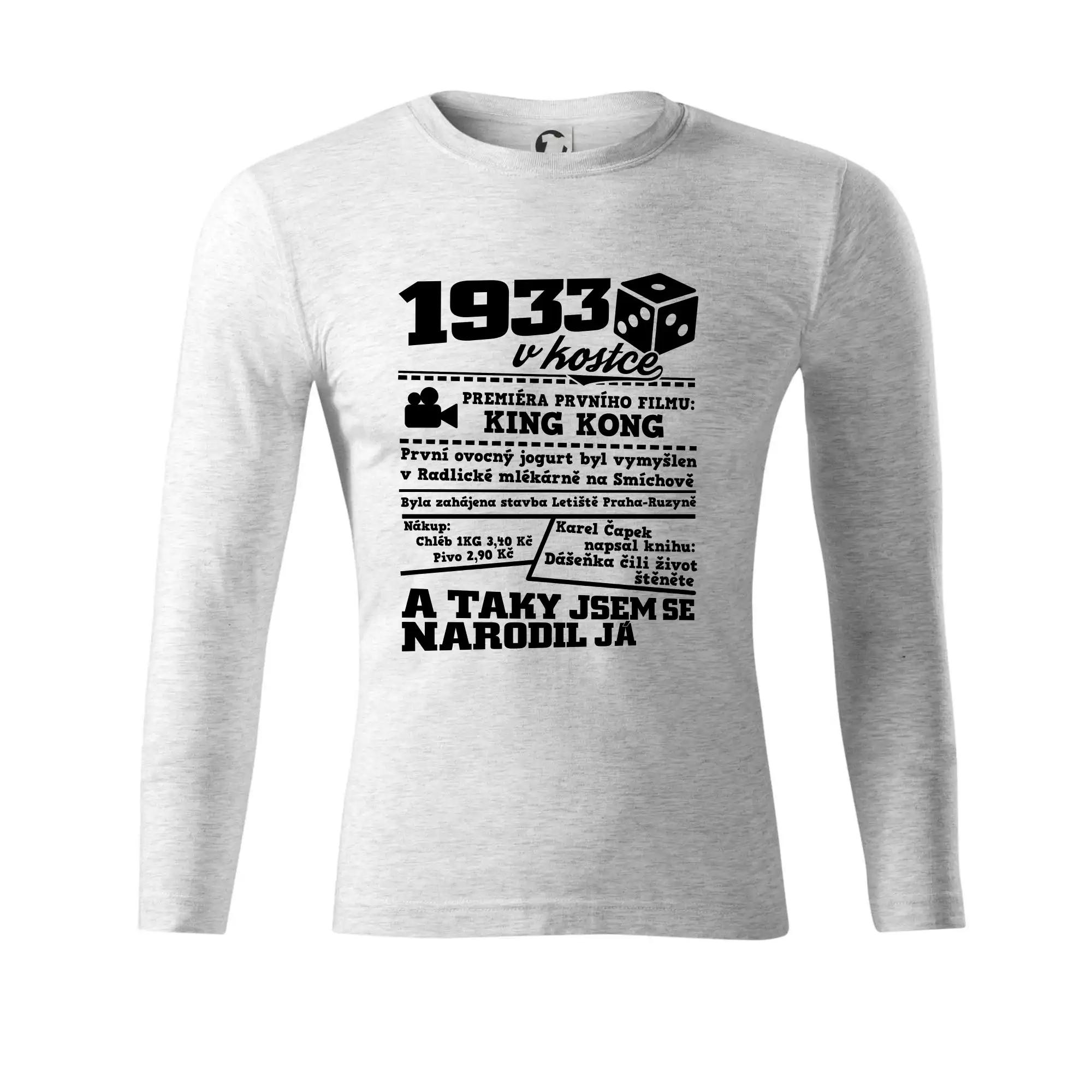 1933 v kostce